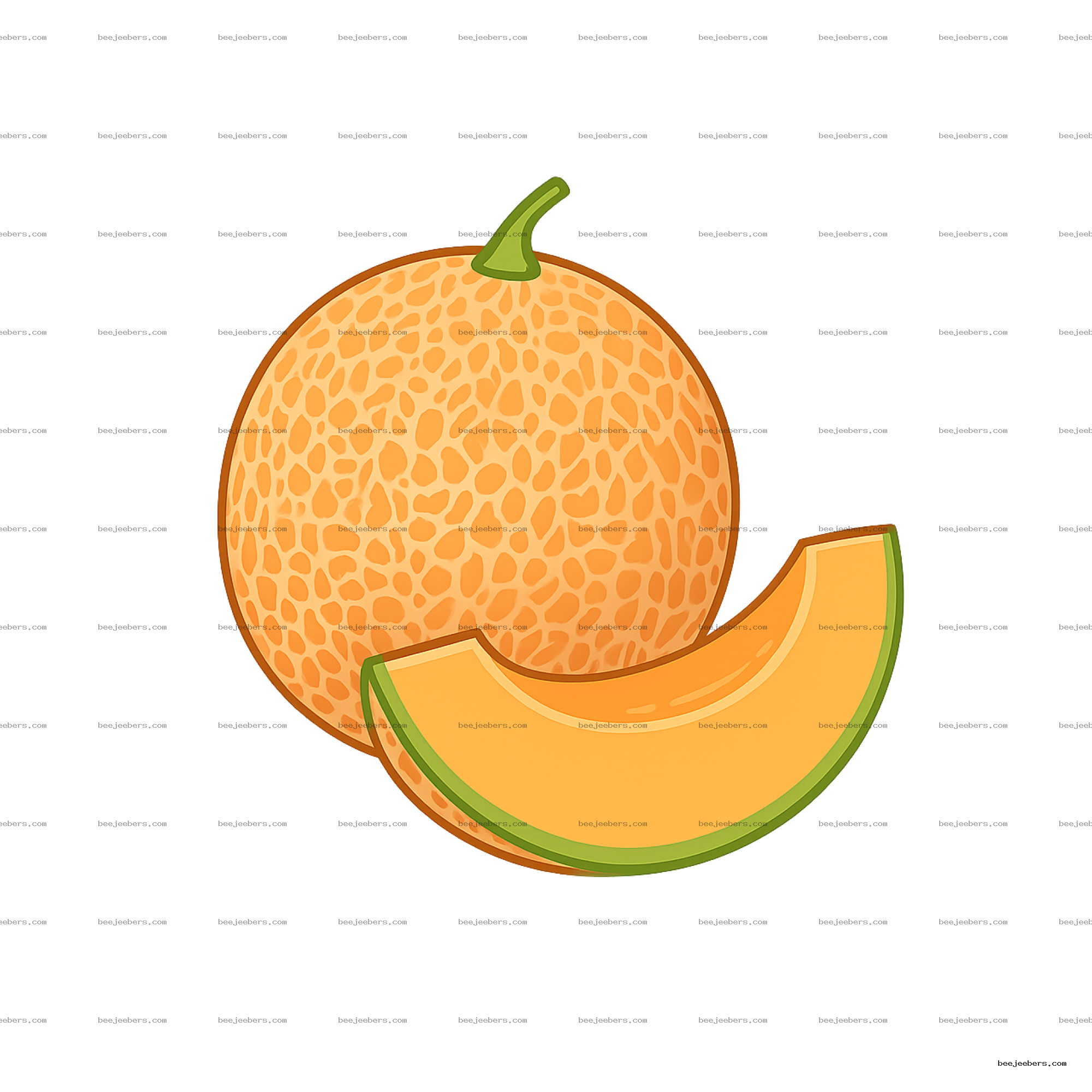 Clean vector illustration of a whole cantaloupe melon with two cantaloupe slices on transparent background