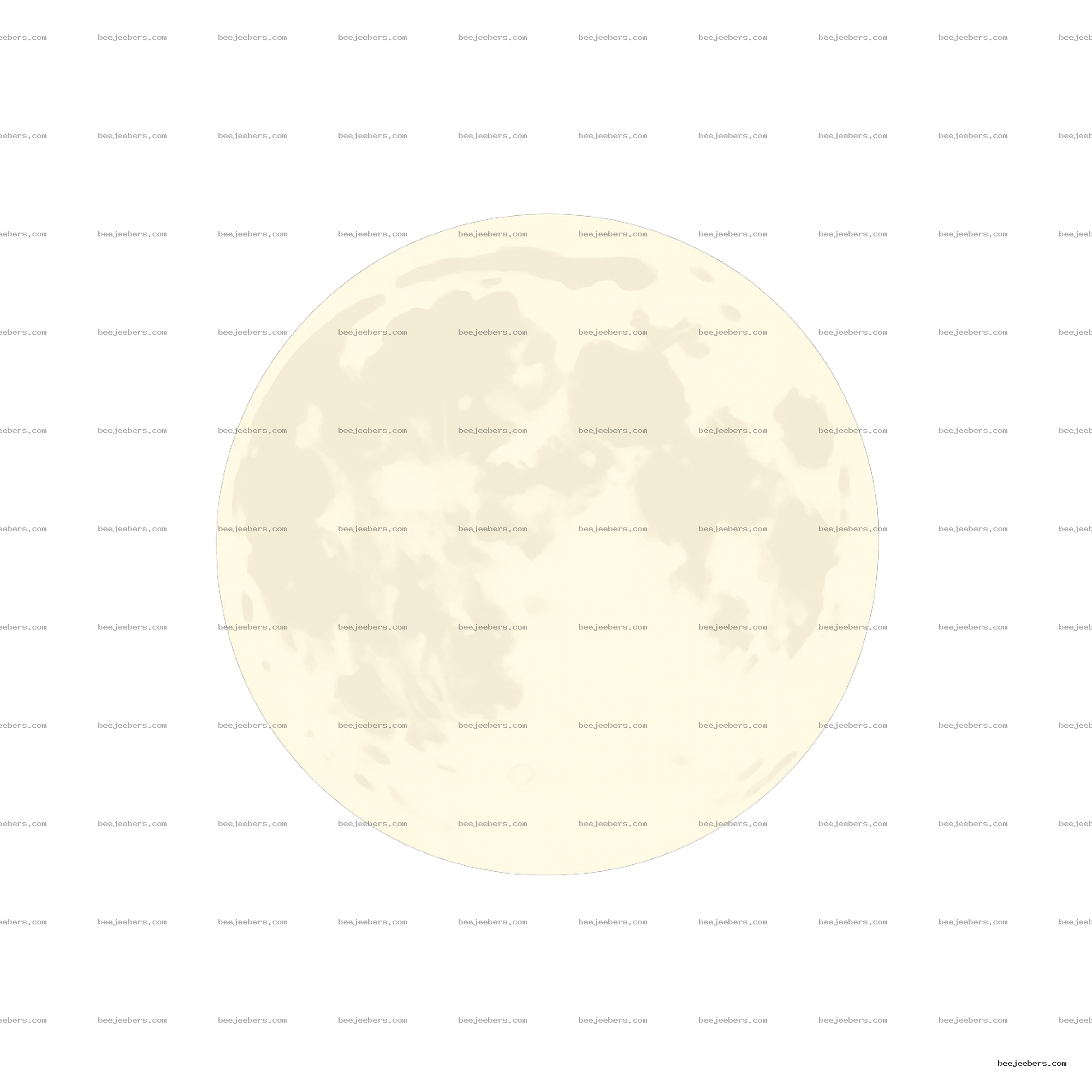 Clean vector full moon PNG with detailed crater shading on transparent background