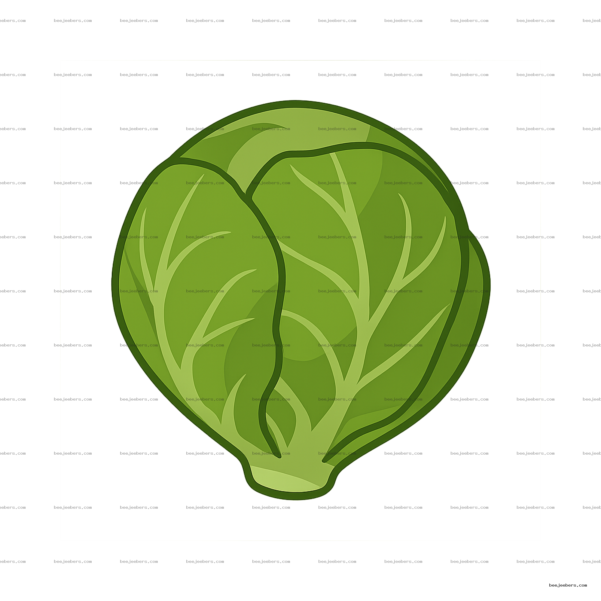 Bright green vector illustration of a brussel sprout with leaf details on transparent background