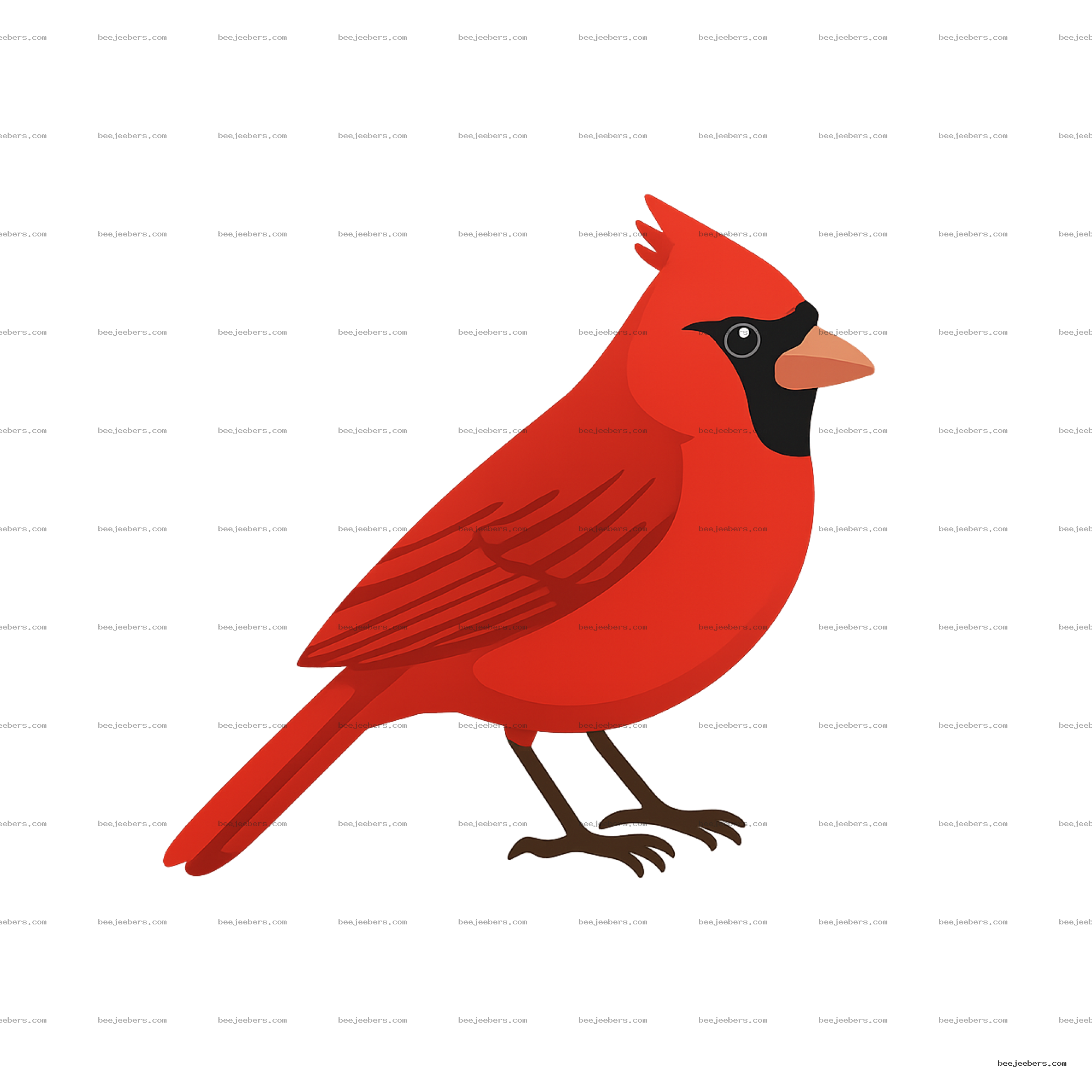 Bright red cardinal bird vector illustration with black face mask and orange beak on transparent background