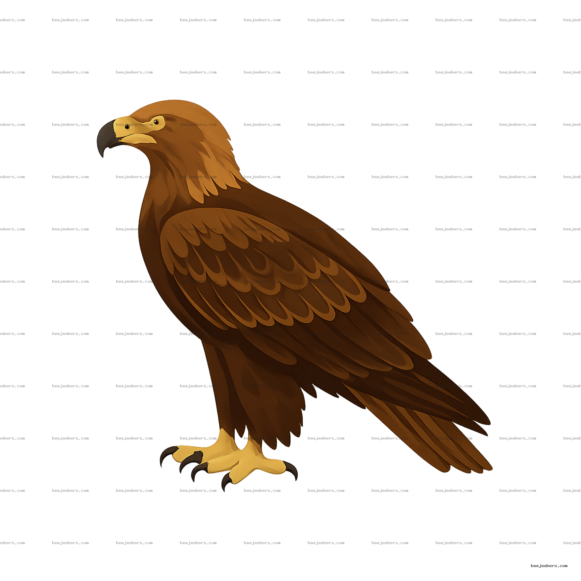 Clean vector illustration of a golden eagle bird in side profile with detailed feathers and sharp talons on transparent background