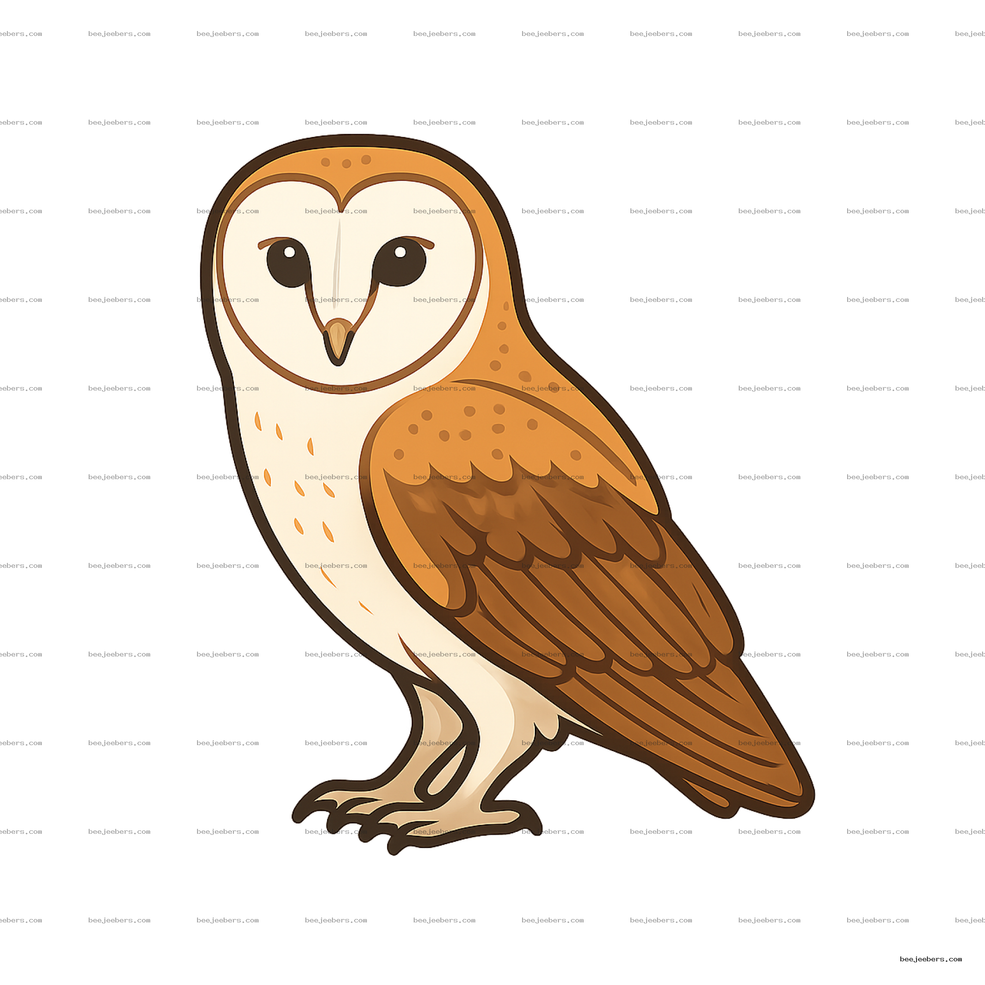 Clean vector barn owl illustration with brown and white feathers and transparent background