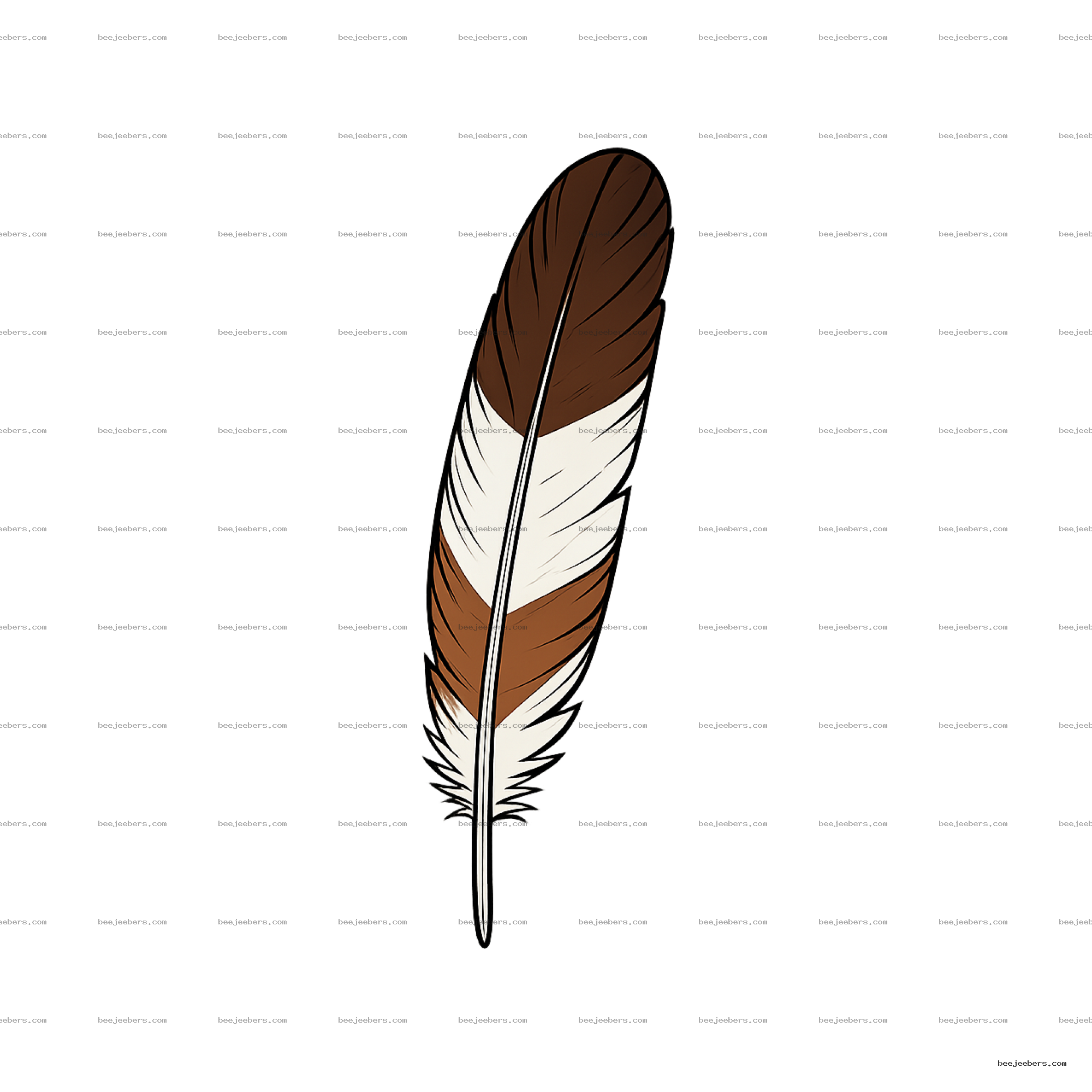 Detailed clean vector eagle feather with brown and white sections on transparent background
