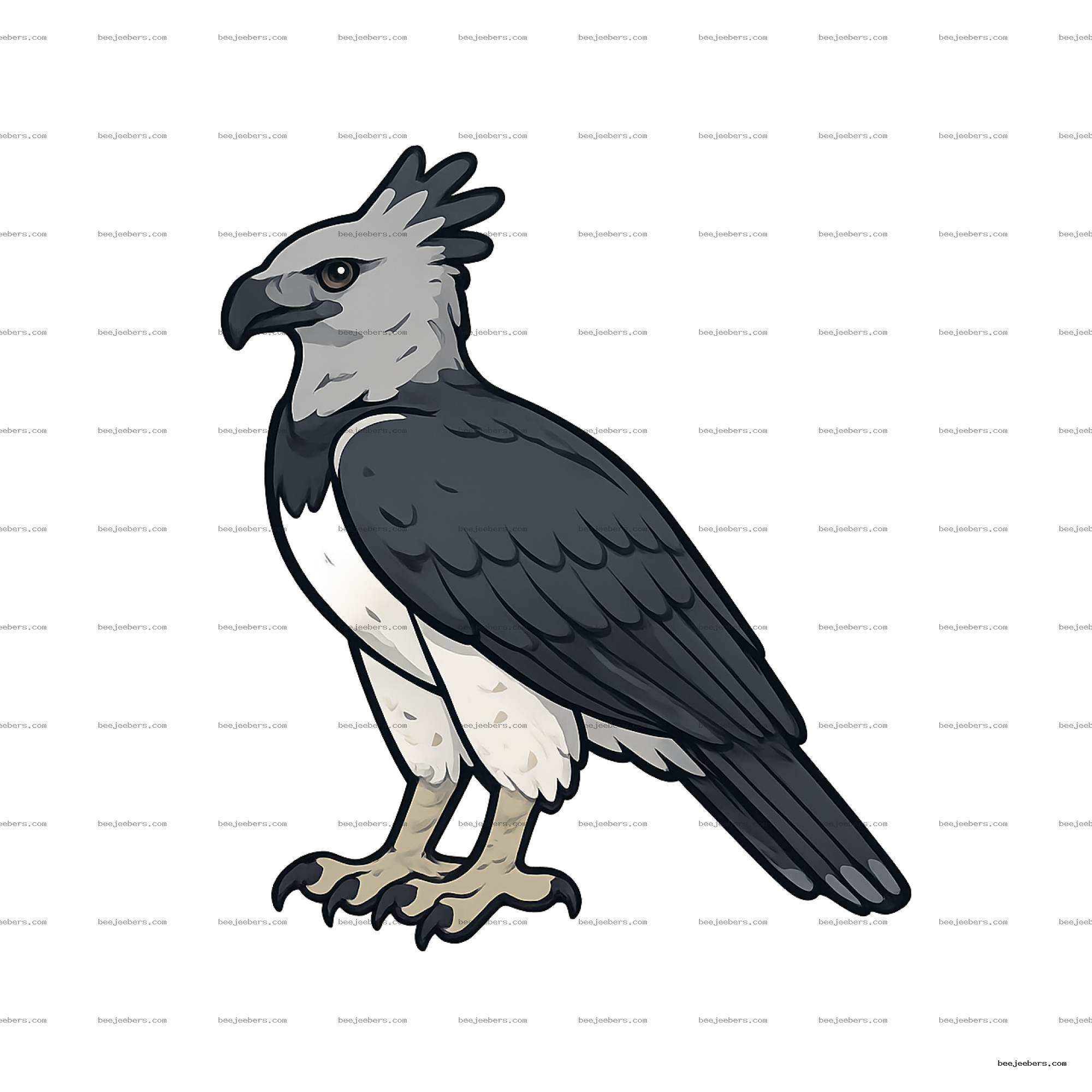 Vector PNG of a harpy eagle bird with black, white, and gray feathers on transparent background