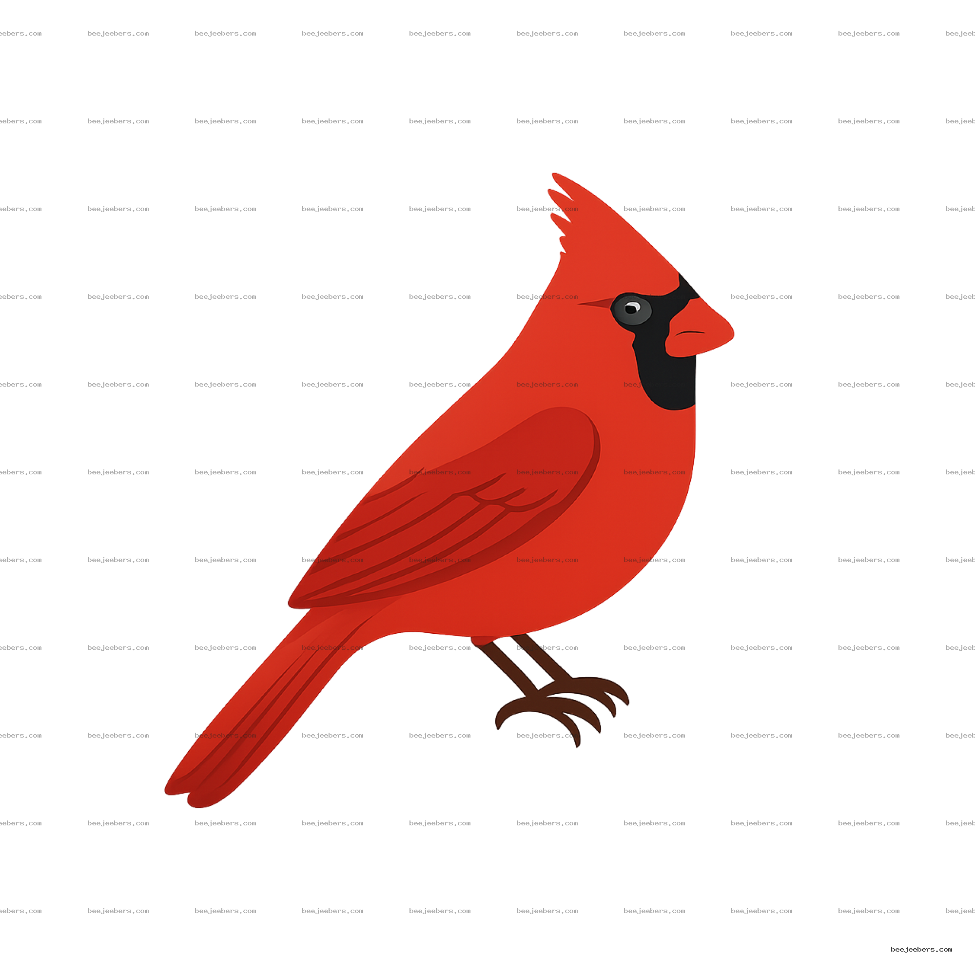 Clean vector illustration of a northern cardinal bird in bright red with black face mask, transparent background