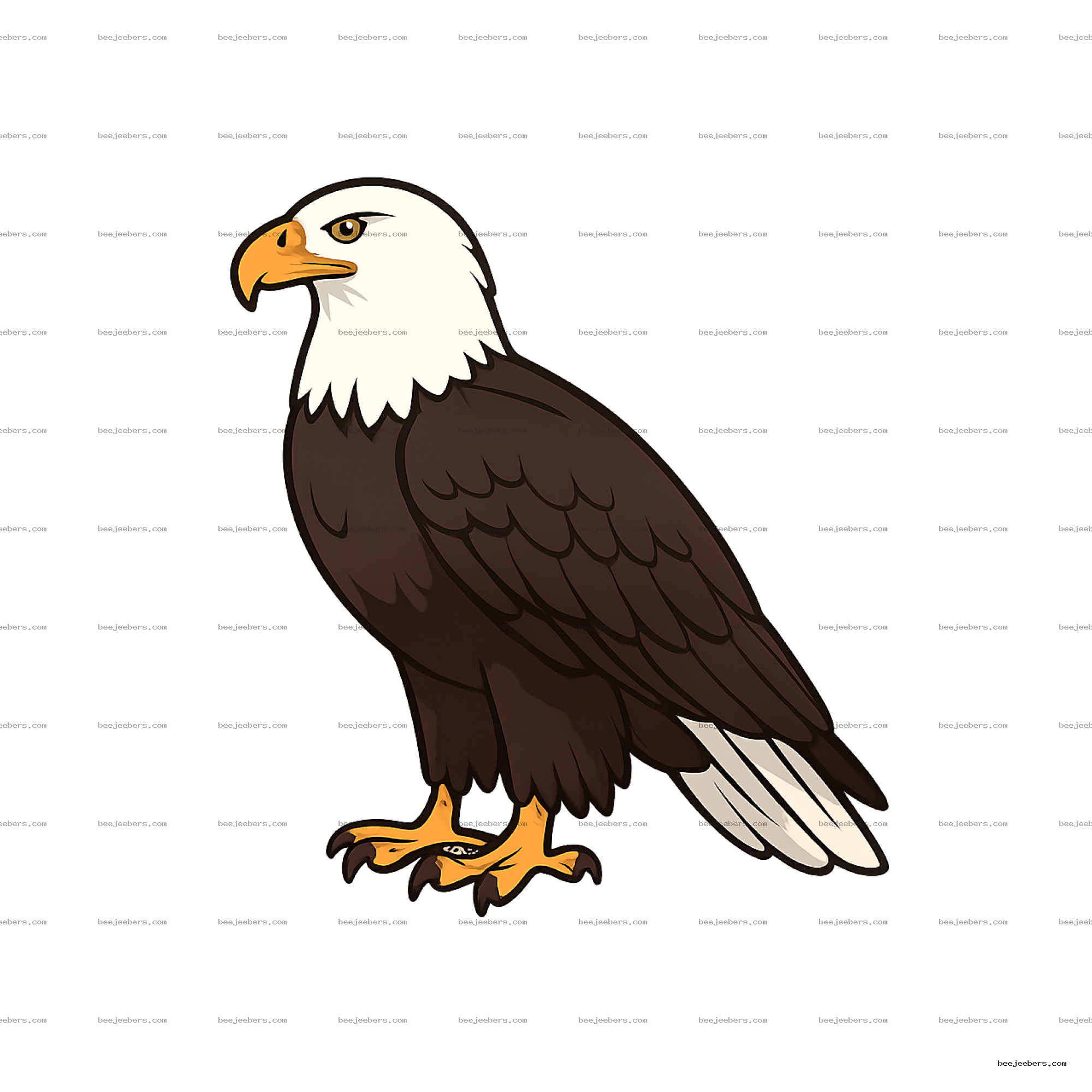 Clean vector illustration of a bald eagle with white head and brown body on transparent background
