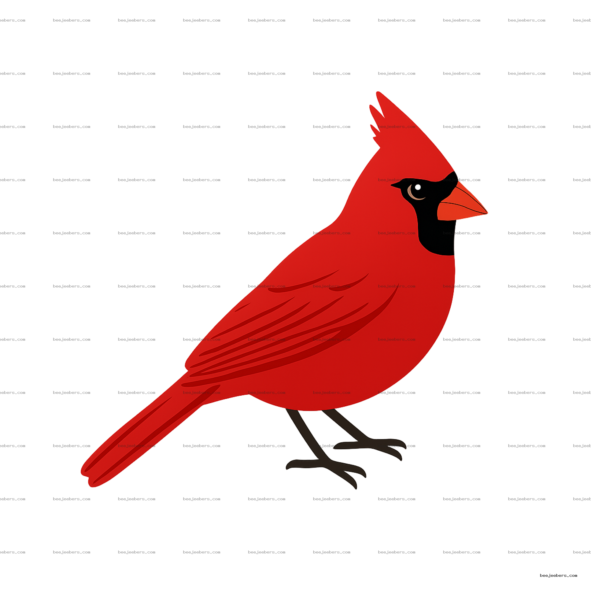 Clean vector illustration of a red cardinal bird with black face mask on transparent background