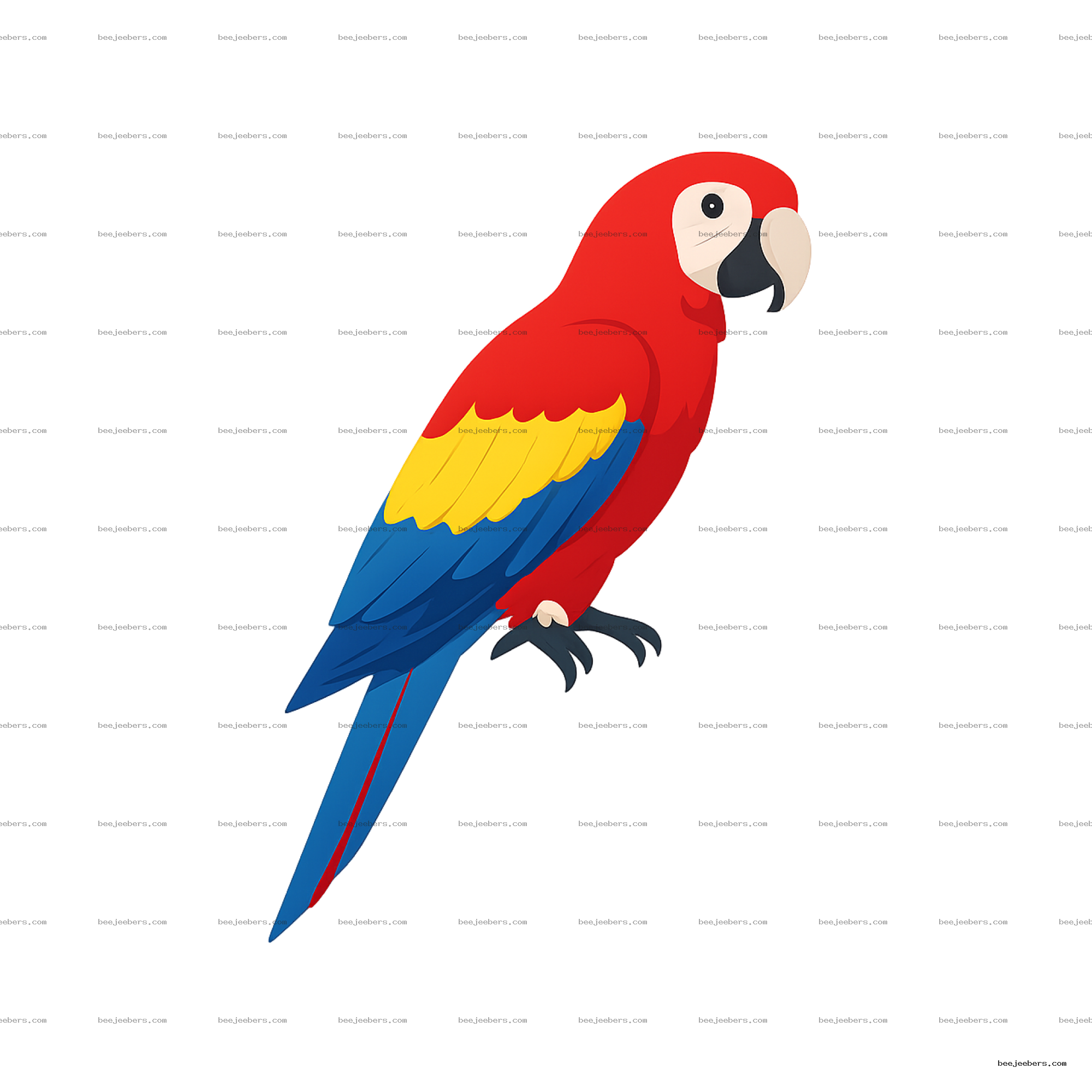 Clean vector illustration of a colorful macaw parrot with red, yellow, and blue feathers on transparent background