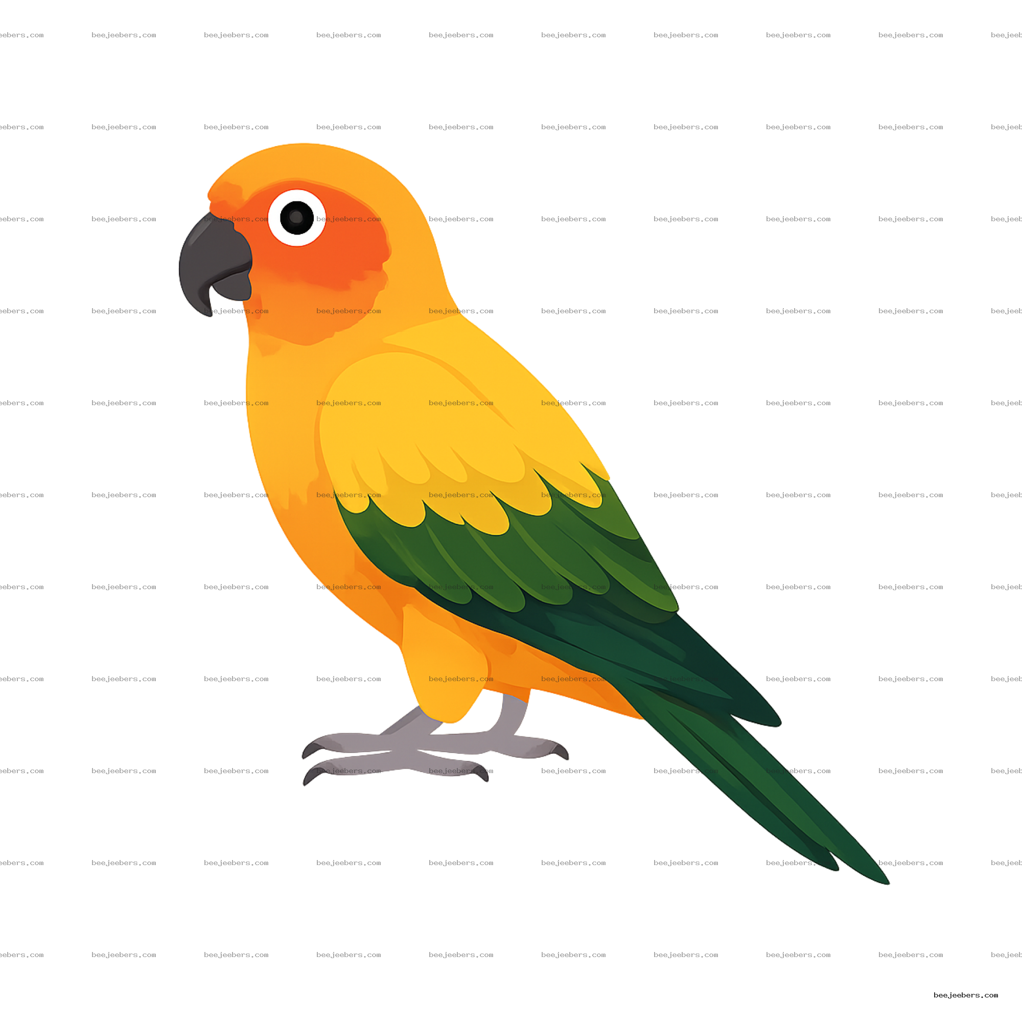 Bright sun conure parrot vector illustration with yellow, orange, and green feathers on transparent background