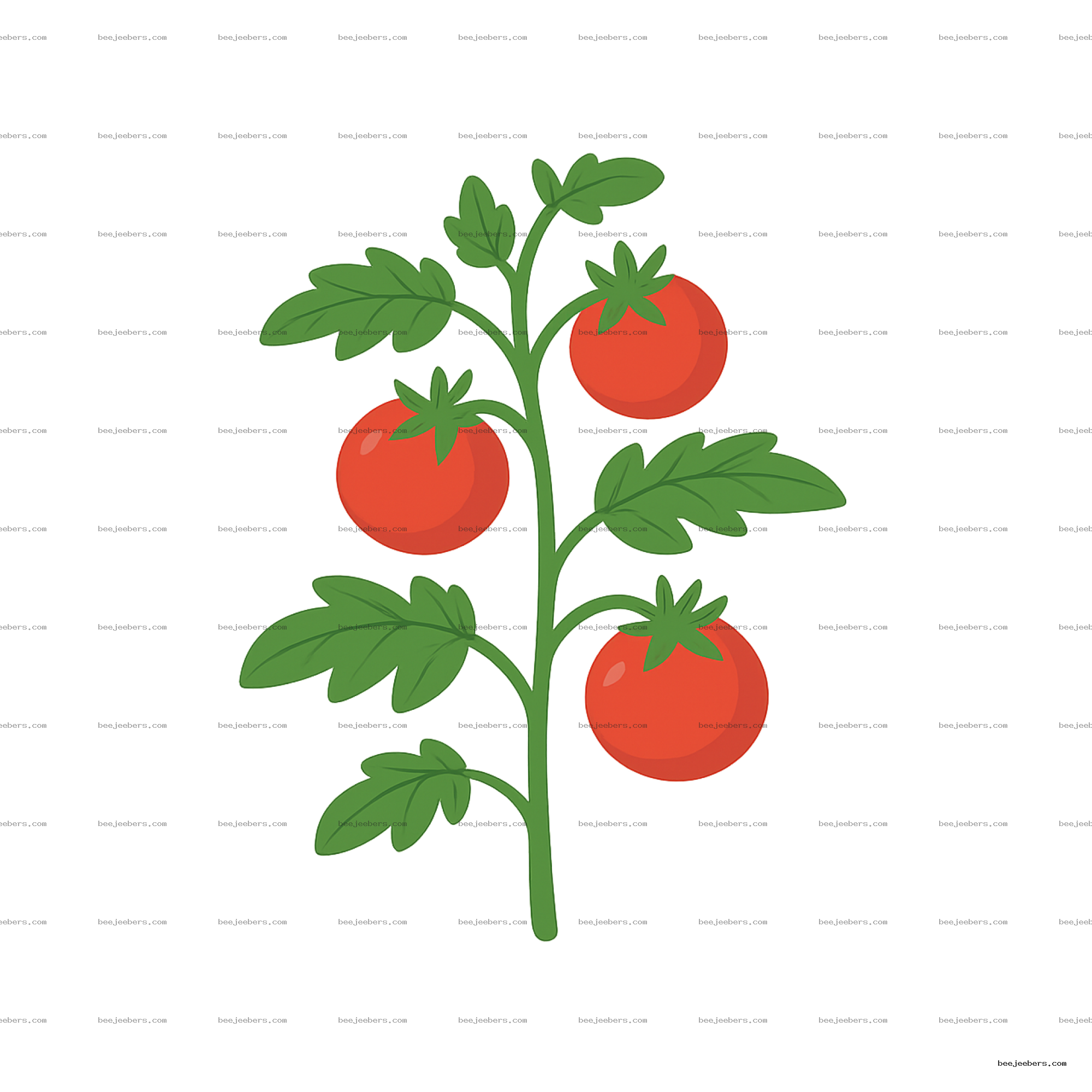 Vector illustration of tomato plant branch with green leaves and ripe red tomatoes on transparent background