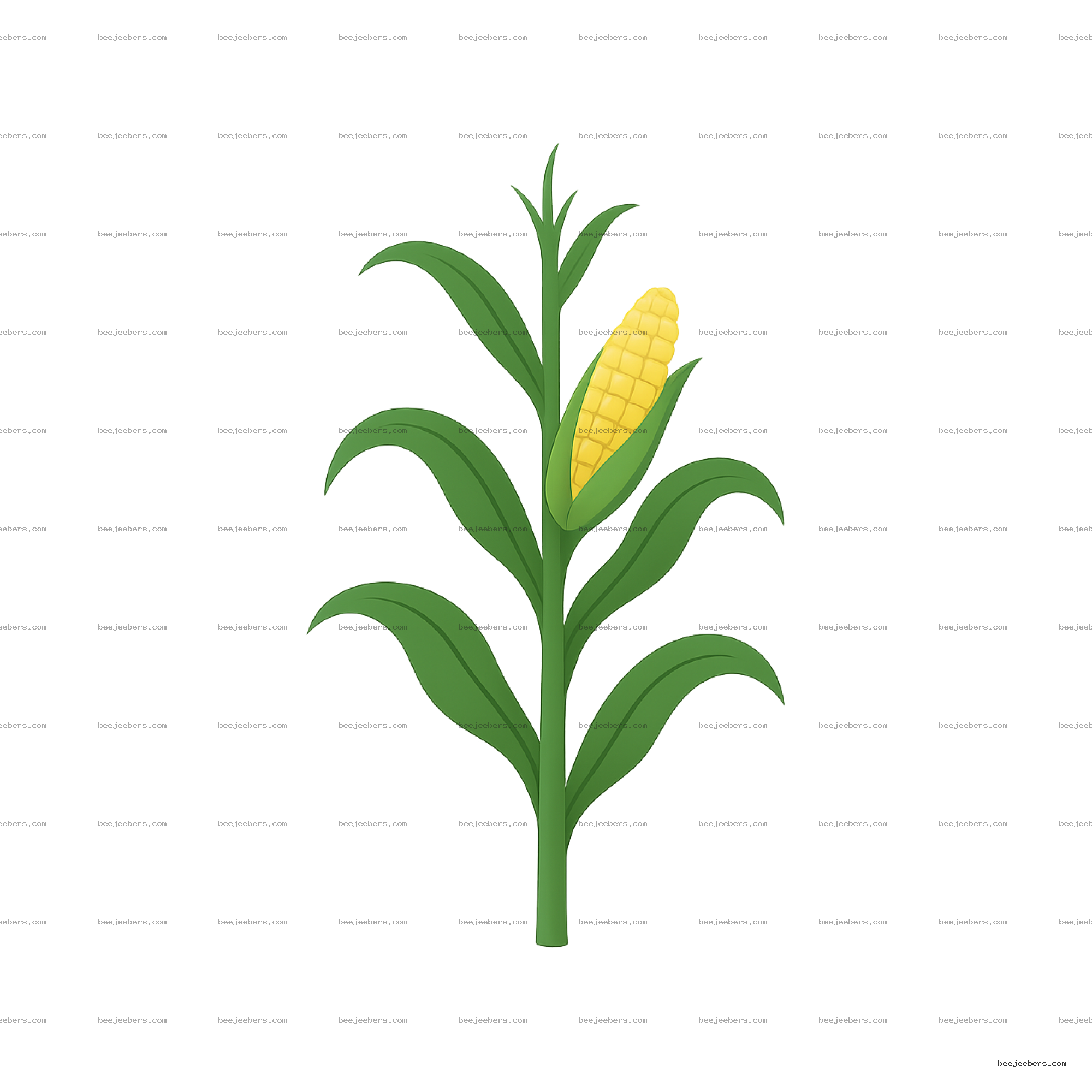 Vector illustration of a green corn plant with a yellow ear of corn on a transparent background
