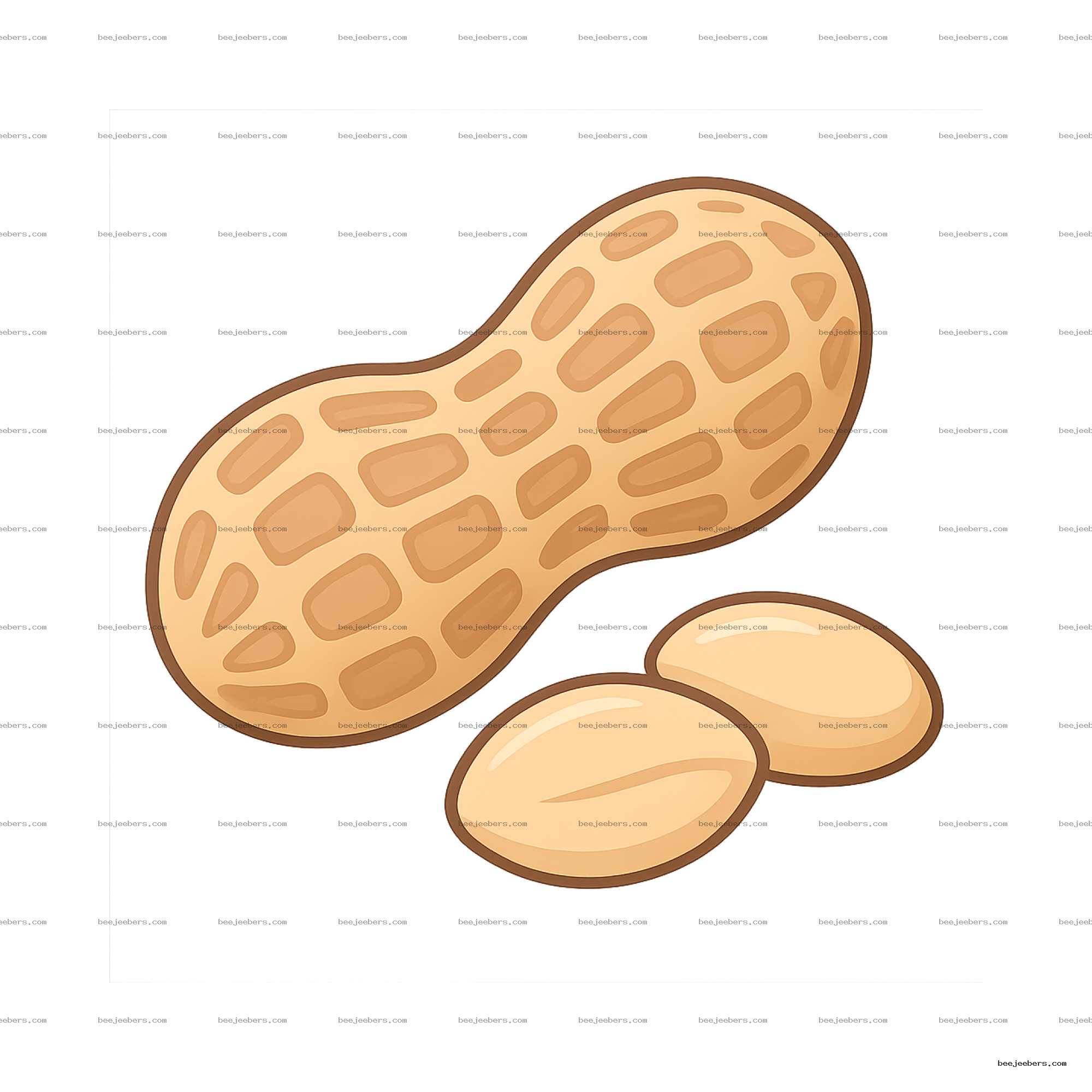 Clean vector peanut png showing peanut in shell with two shelled peanuts