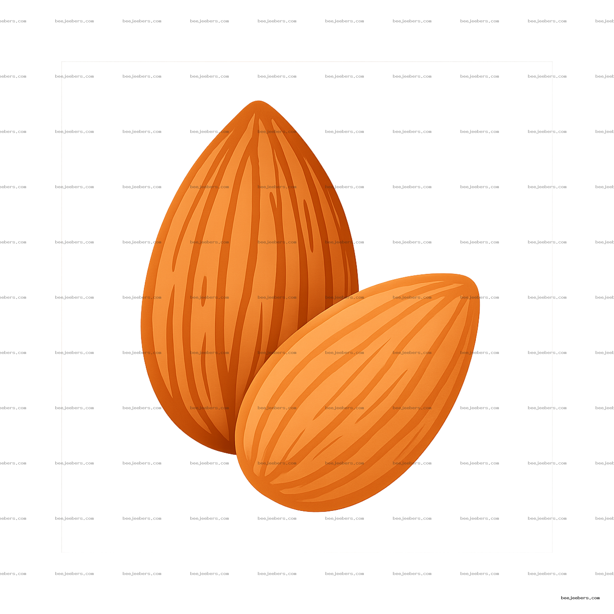 Clean vector illustration of two almonds with textured details on transparent background