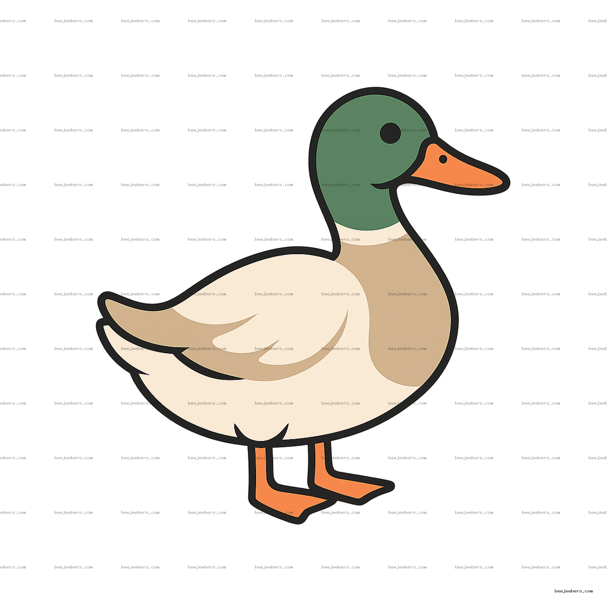 Clean vector illustration of a mallard duck with green head and orange beak on transparent background
