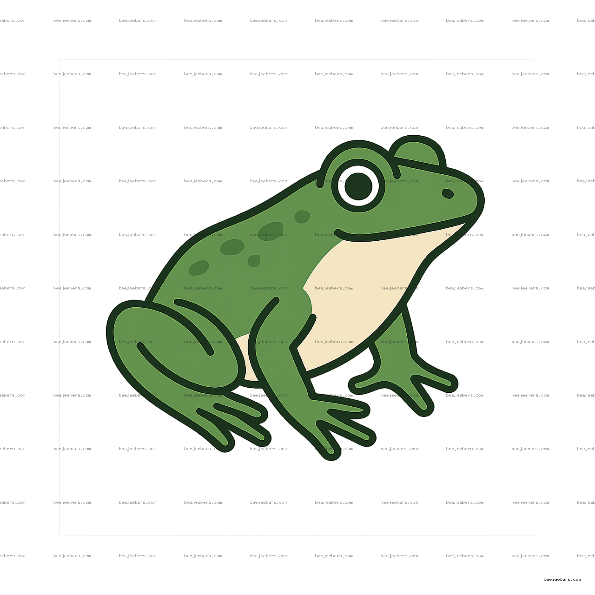 Clean vector illustration of a sitting green frog with dark green outlines and light beige belly on transparent background