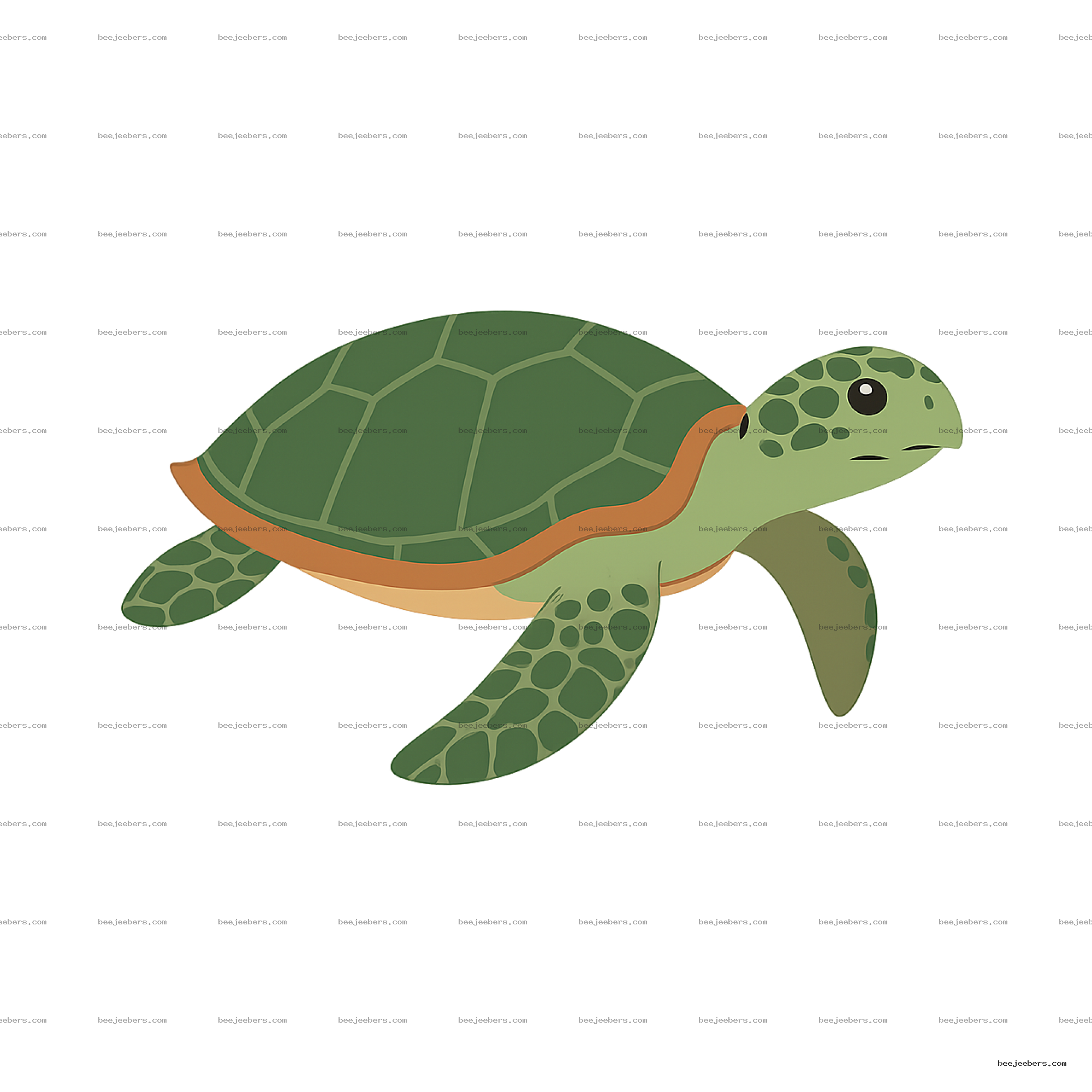 Clean vector illustration of a green sea turtle with detailed shell on transparent background