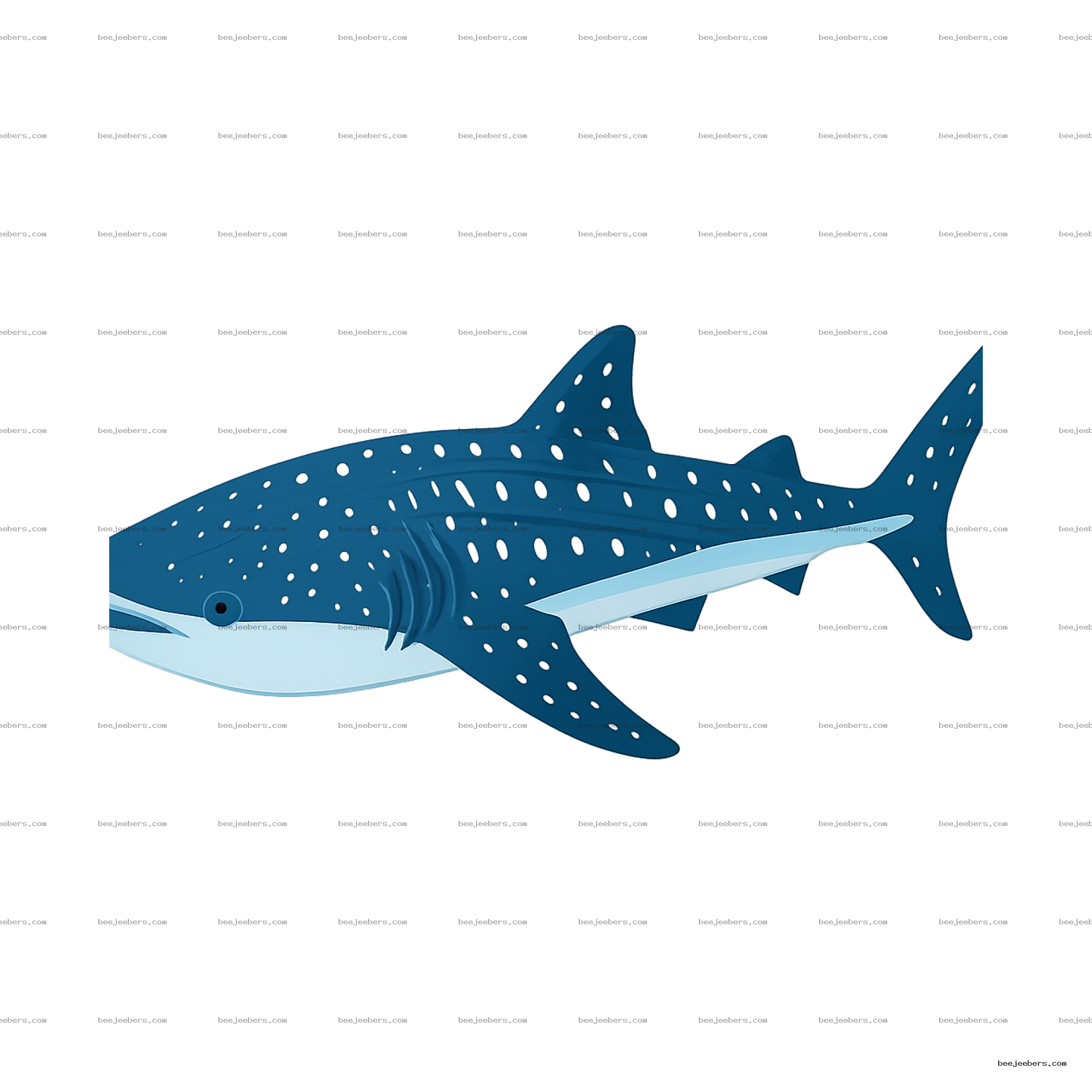 Clean vector illustration of a blue whale shark with black spots on transparent background