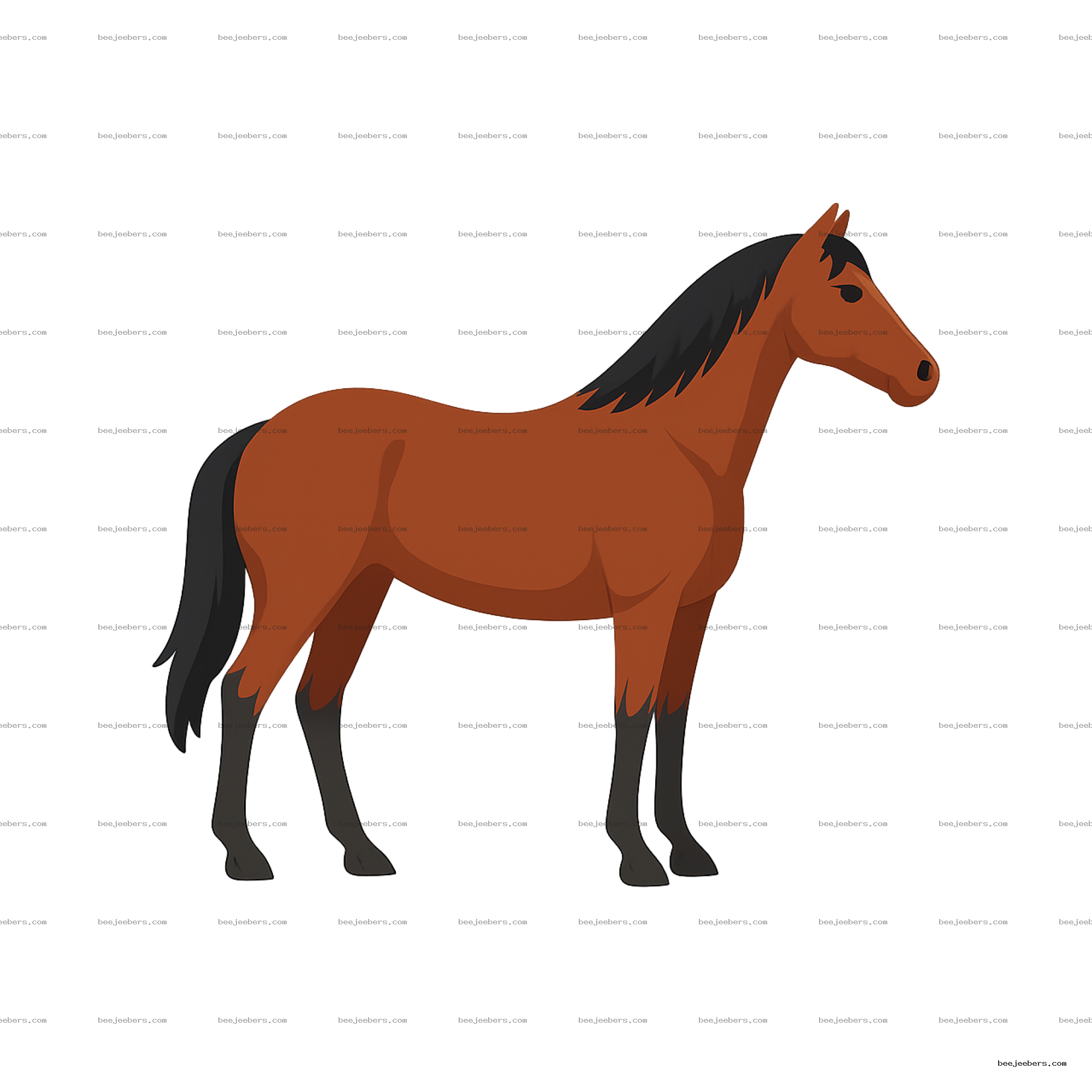Clean vector illustration of brown horse clipart with black mane and tail on transparent background