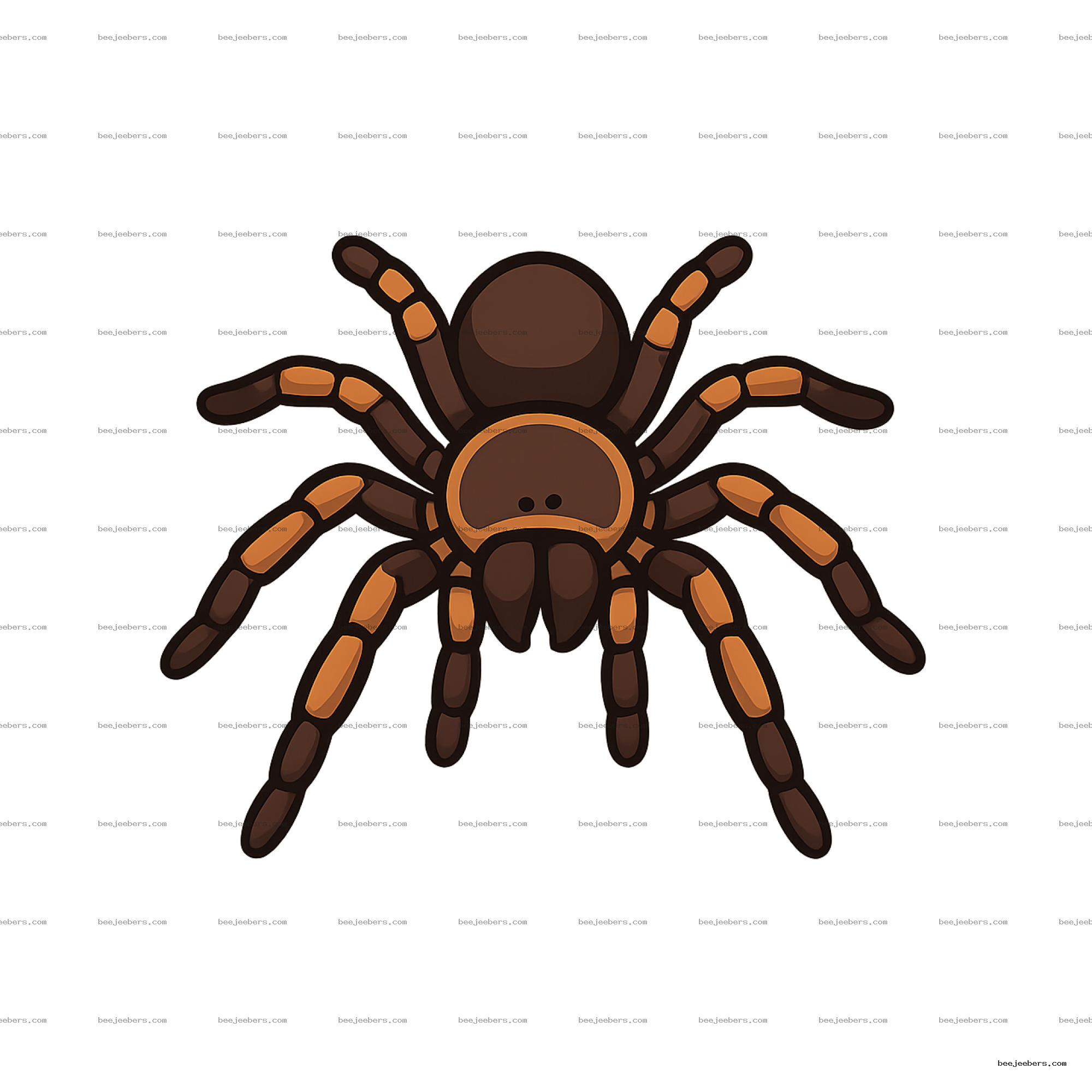 Clean vector illustration of a tarantula spider with orange and brown legs on transparent background