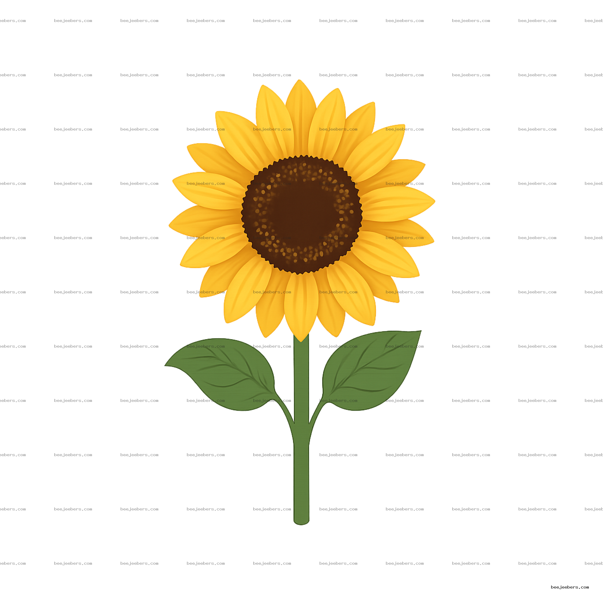 Bright yellow sunflower with brown center, green stem and leaves on transparent background