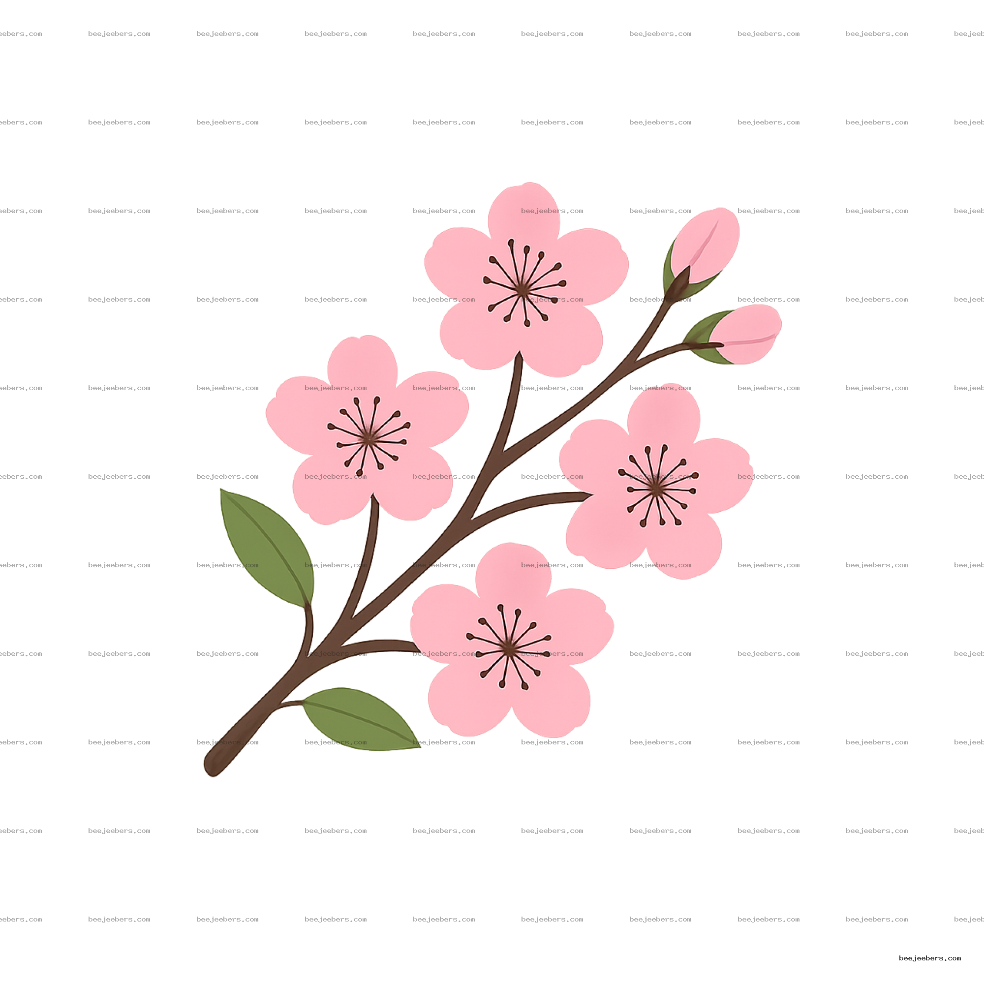 Clean vector cherry blossom branch with pink flowers, brown stamens, and green leaves on a transparent background