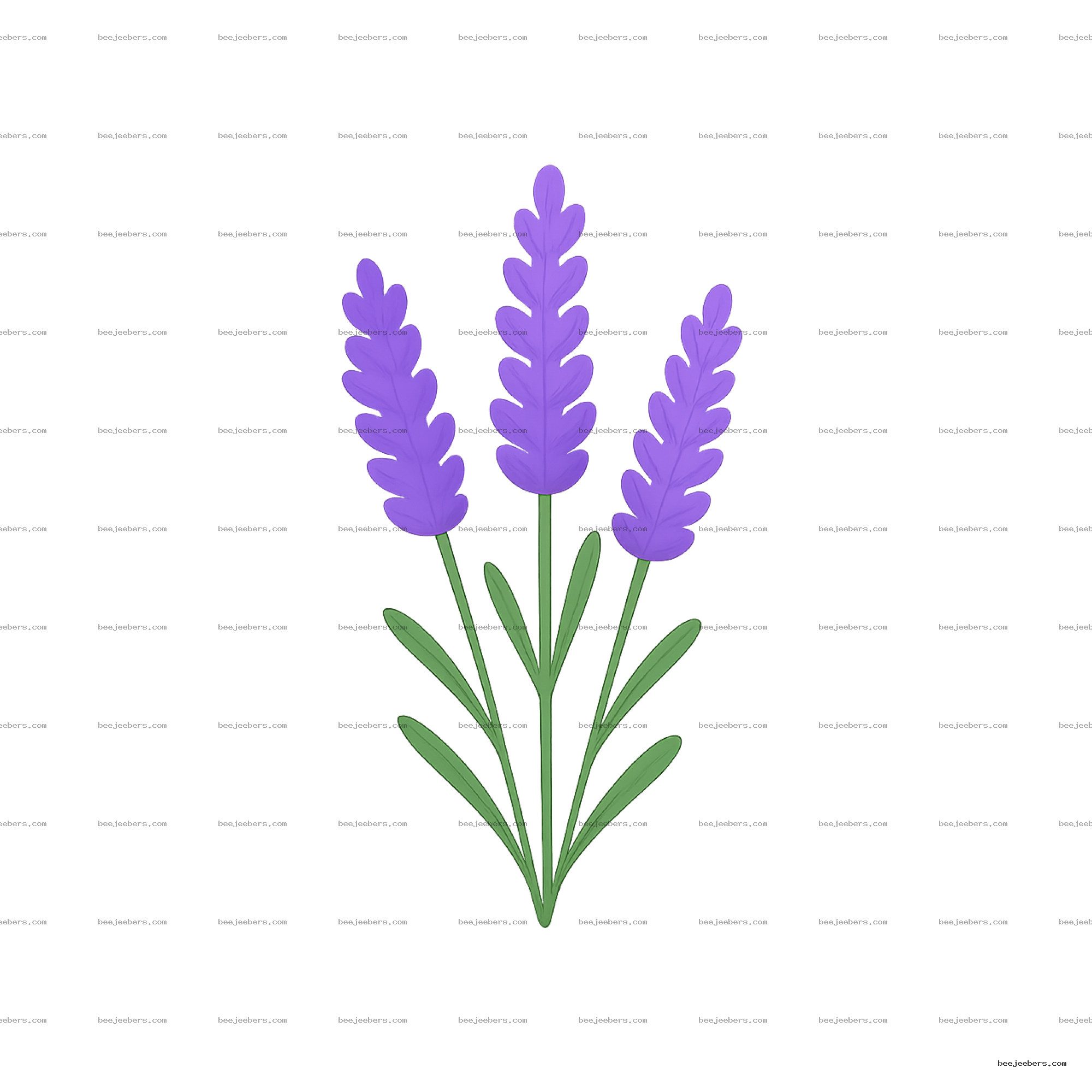 Vector illustration of three purple lavender sprigs with green leaves on transparent background