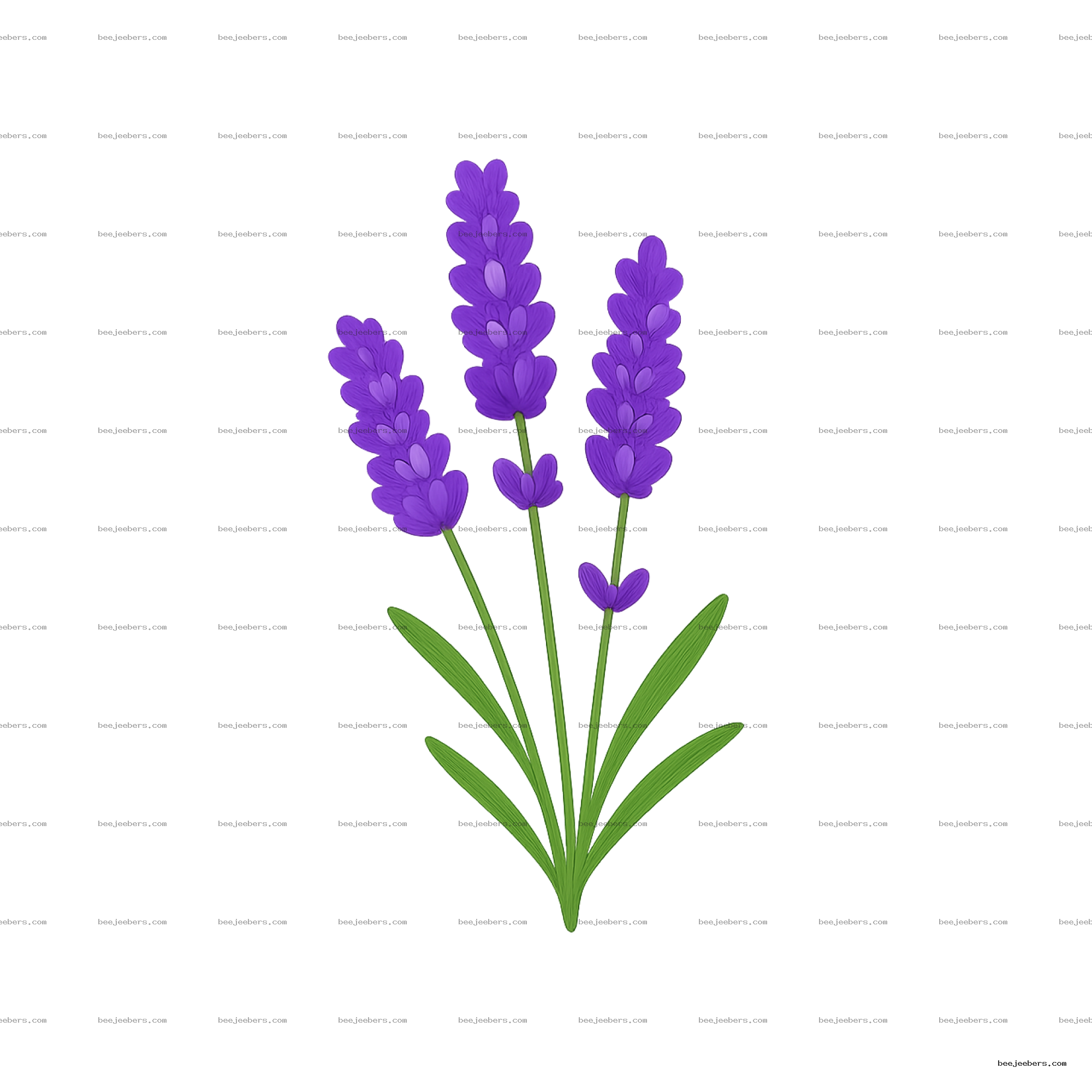 Clean vector illustration of three purple lavender flower sprigs with green stems and leaves on transparent background.