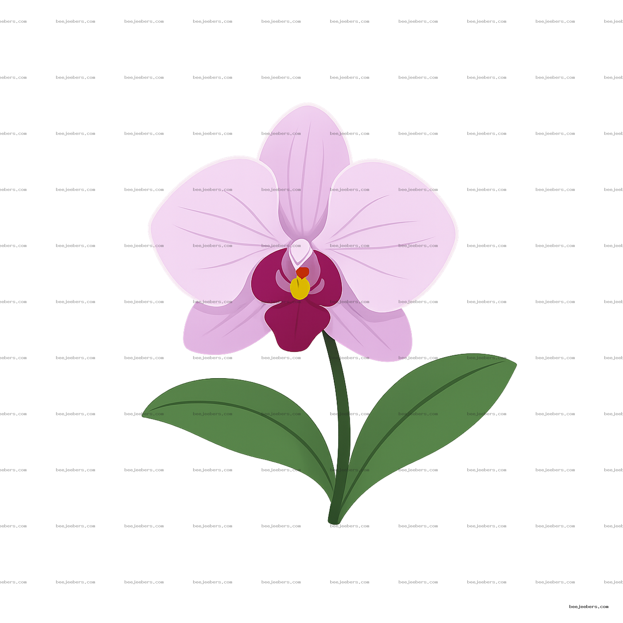 Clean vector illustration of a pink orchid flower with green leaves on transparent background