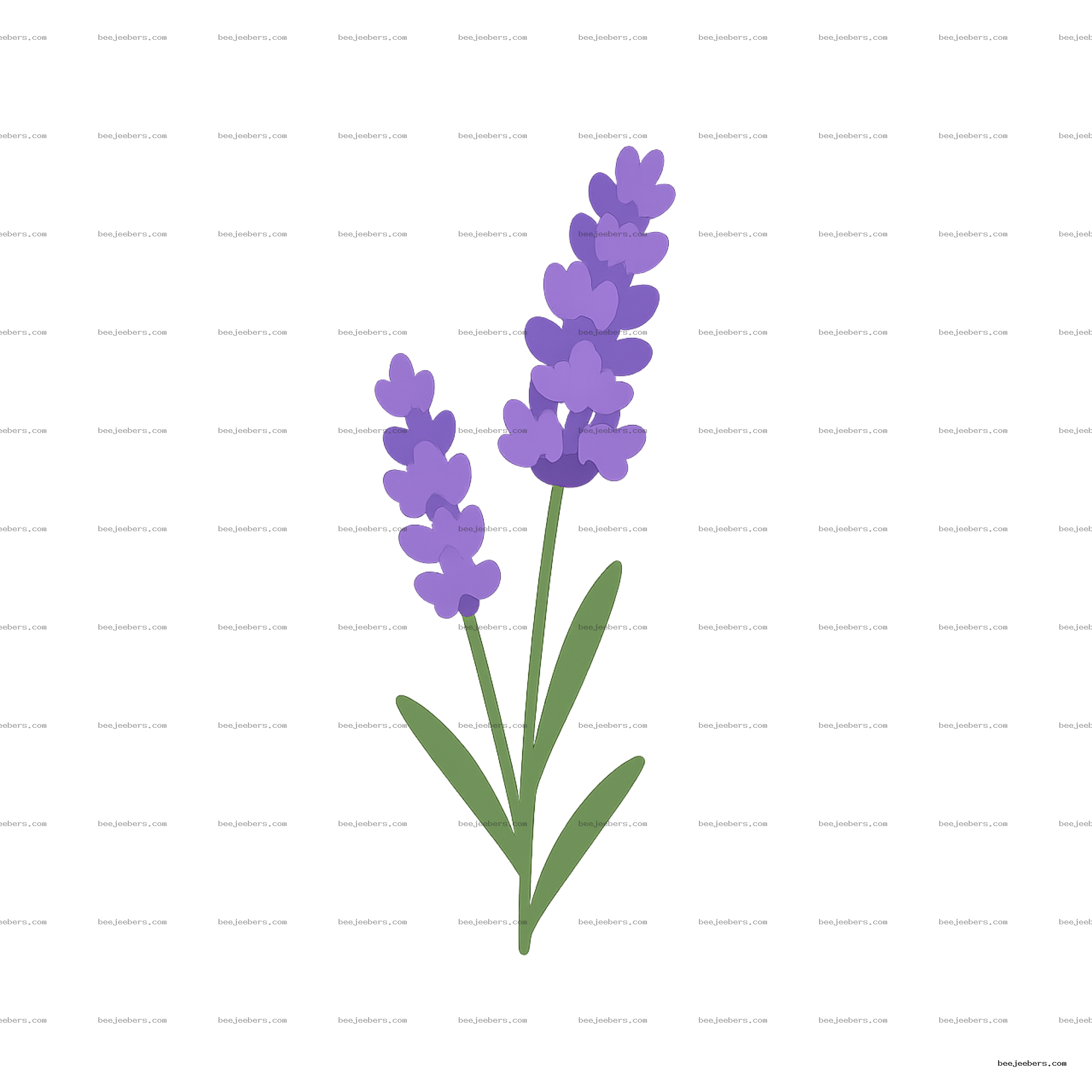 Clean vector illustration of lavender flower stems with purple petals and green leaves on transparent background
