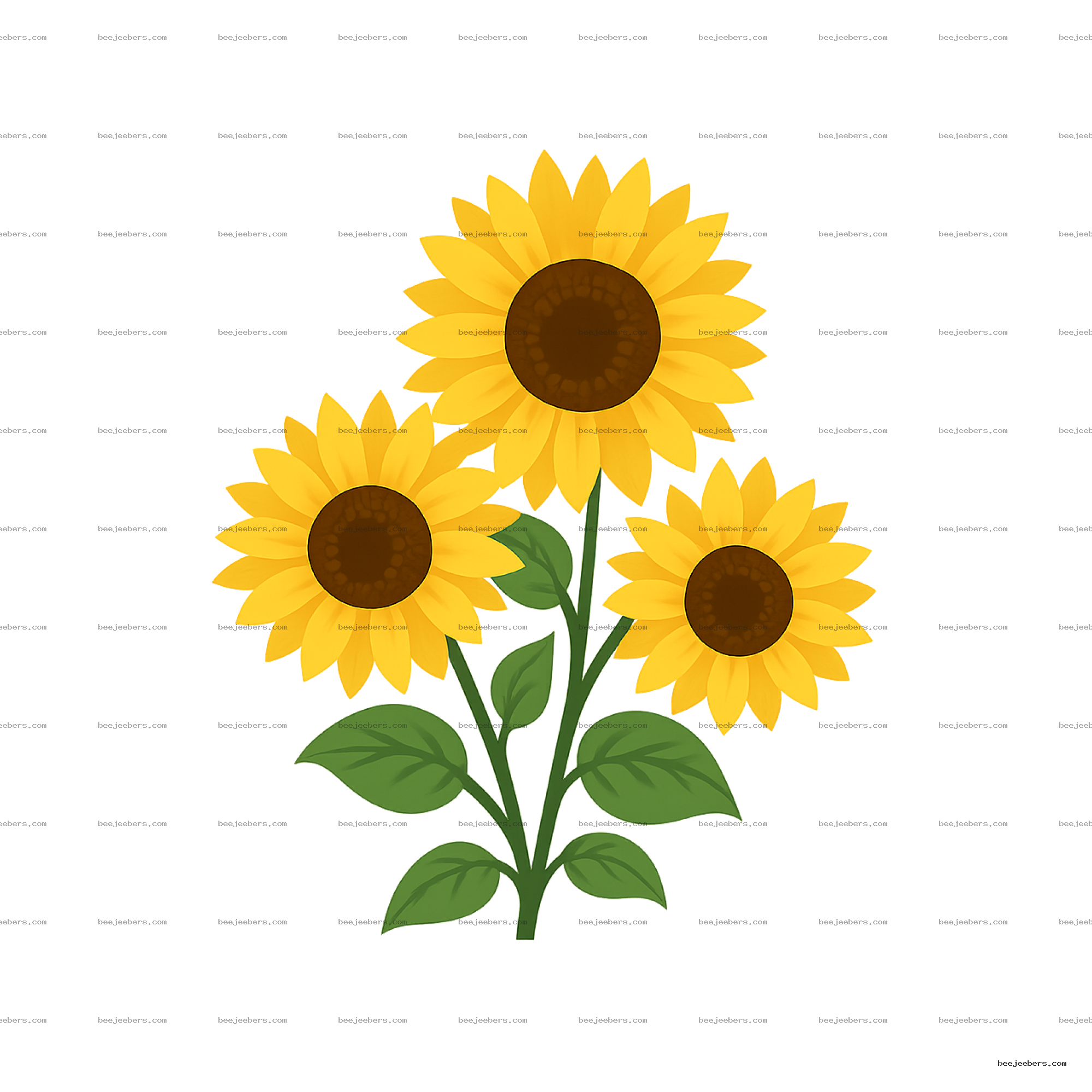 Vector illustration of three yellow sunflowers with green leaves on transparent background