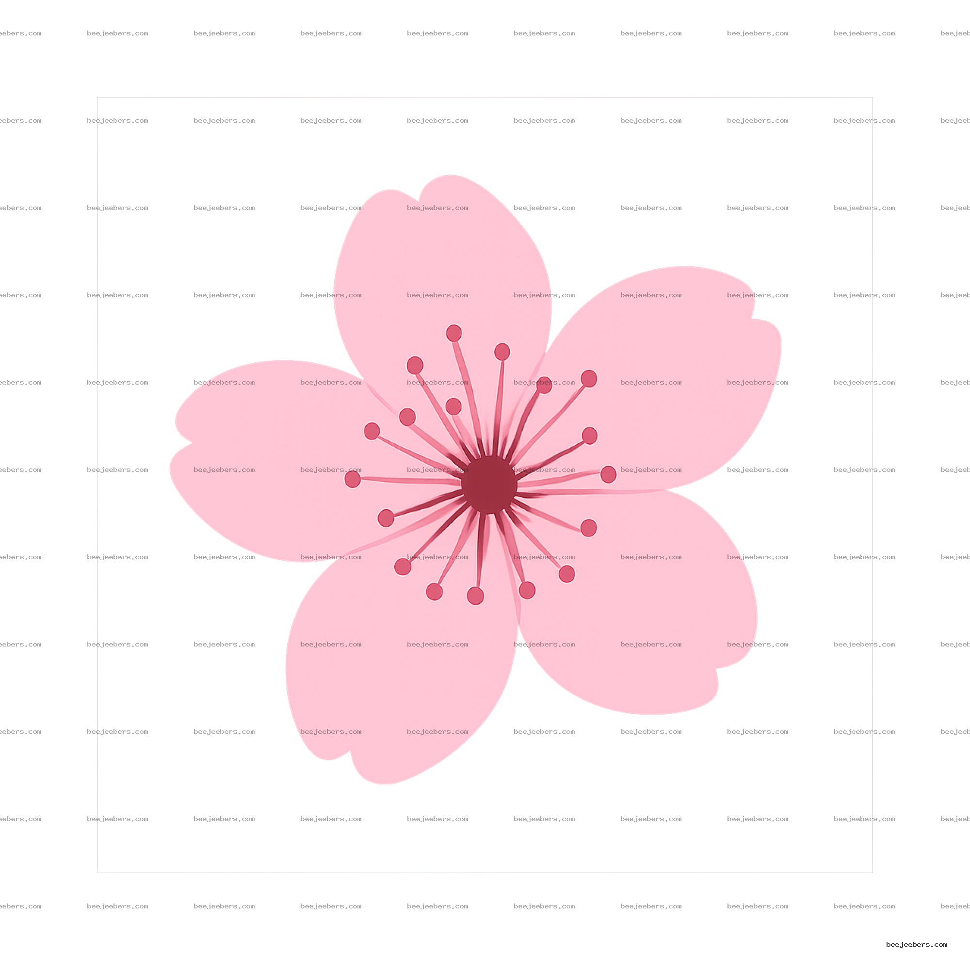 Clean vector pink cherry blossom flower with five petals and stamens on transparent background