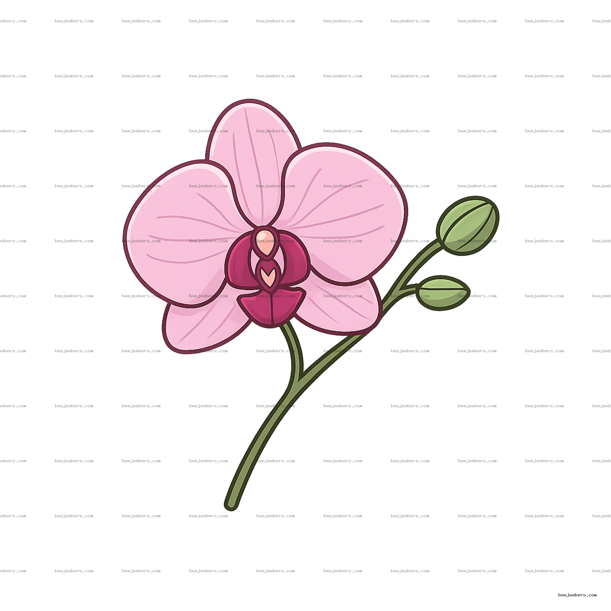 Clean vector illustration of a pink orchid flower with green buds on transparent background