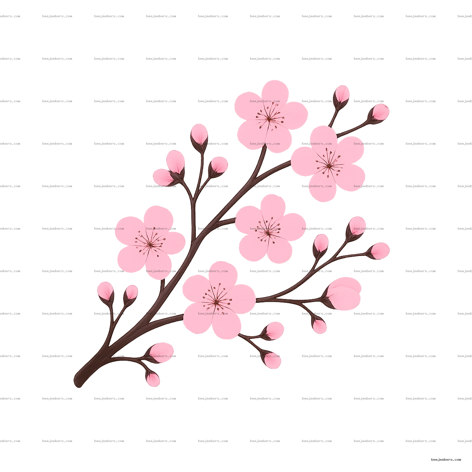 Clean vector cherry blossom branches with pink flowers and buds on transparent background