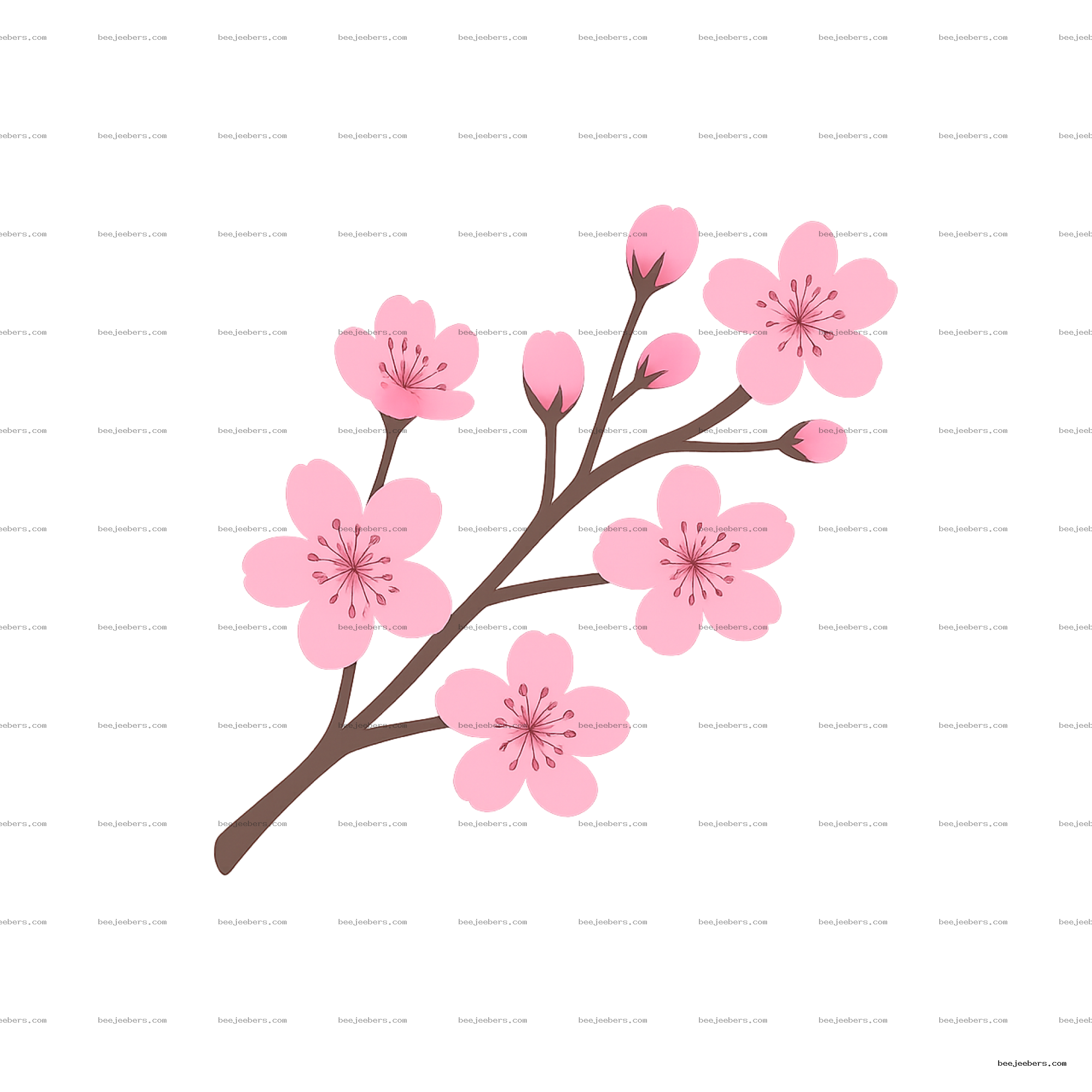 Clean vector cherry blossom branch with pink flowers and buds on transparent background