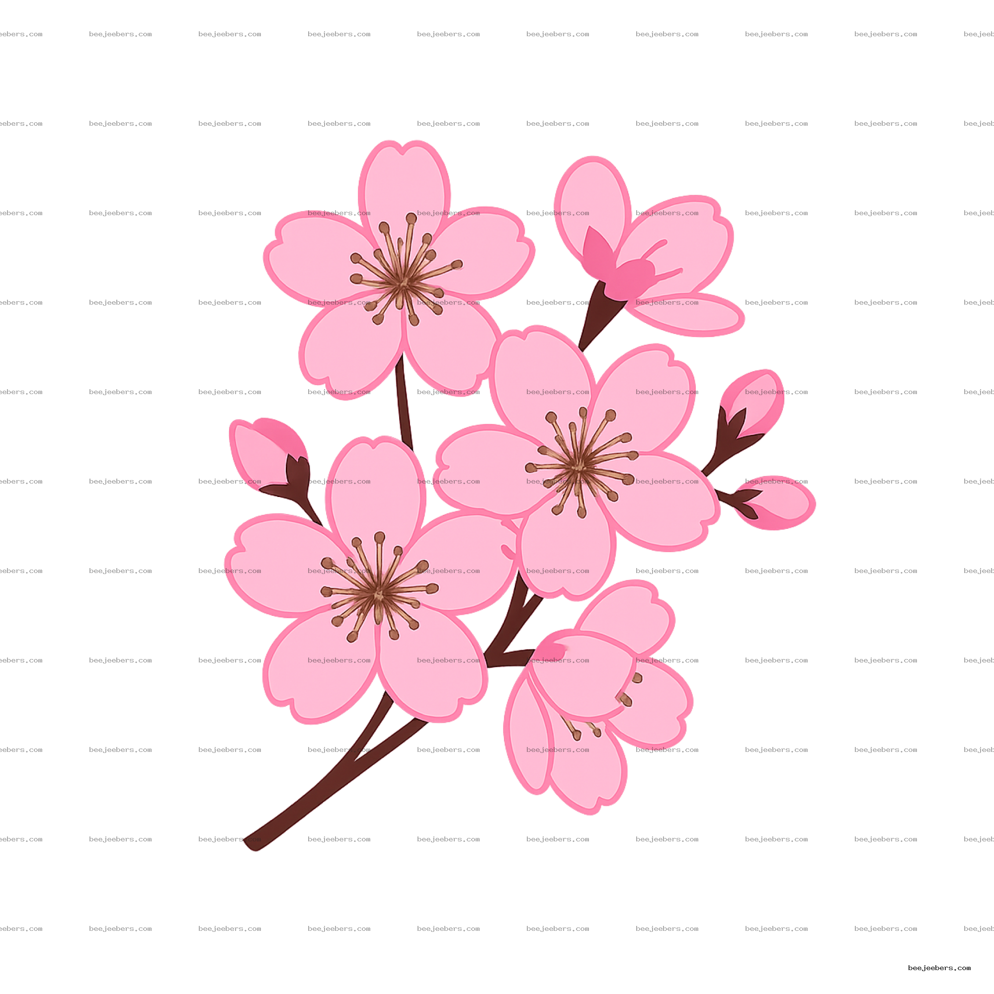 Vector illustration of pink cherry blossom flowers with transparent background