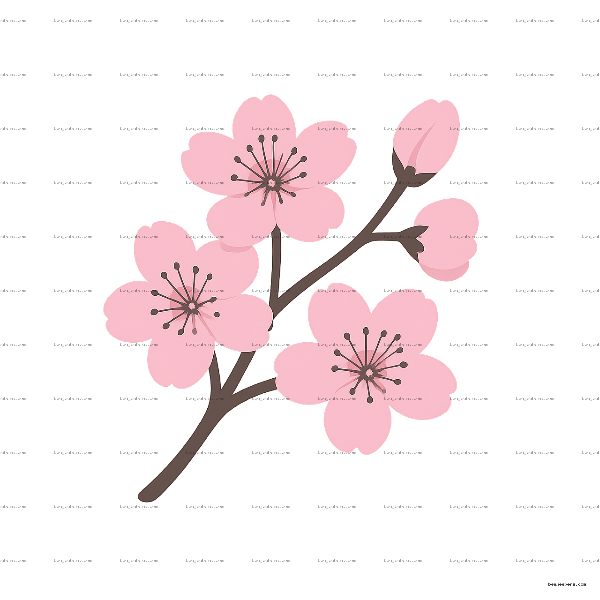 Clean vector cherry blossom branch with pink flowers and buds on transparent background