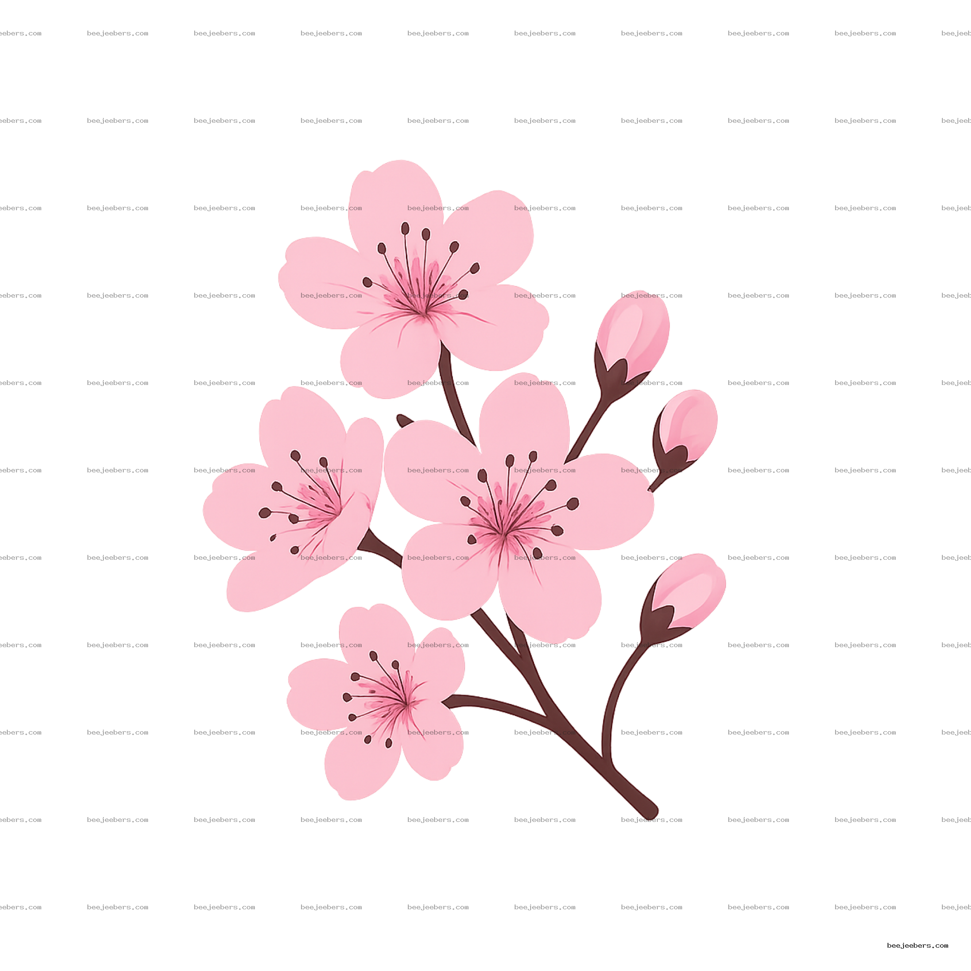 Pink cherry blossoms branch with flowers and buds on transparent background PNG