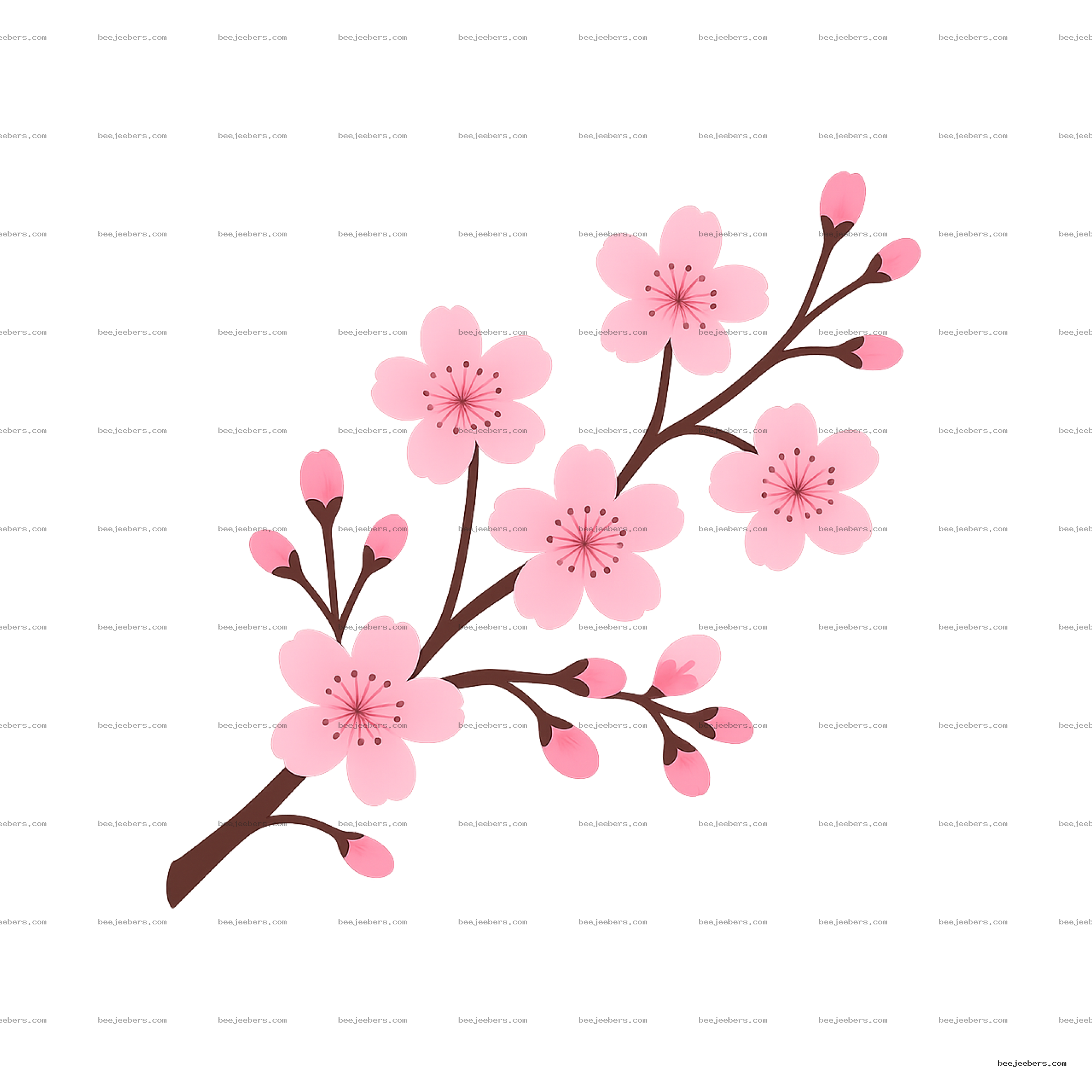 Clean vector sakura branch with pink cherry blossoms and buds on transparent background