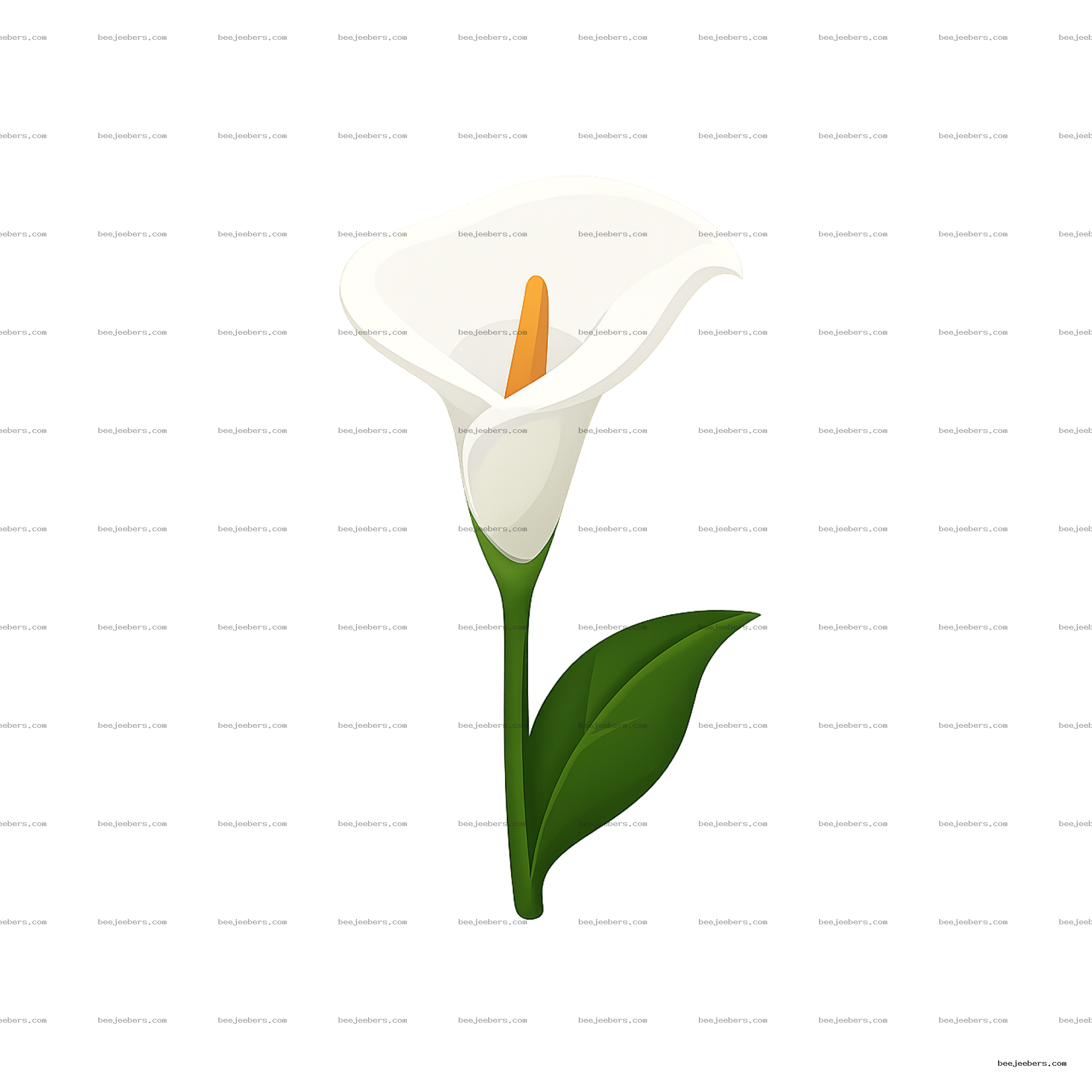 Clean vector illustration of a white calla lily flower with green stem and leaves on transparent background