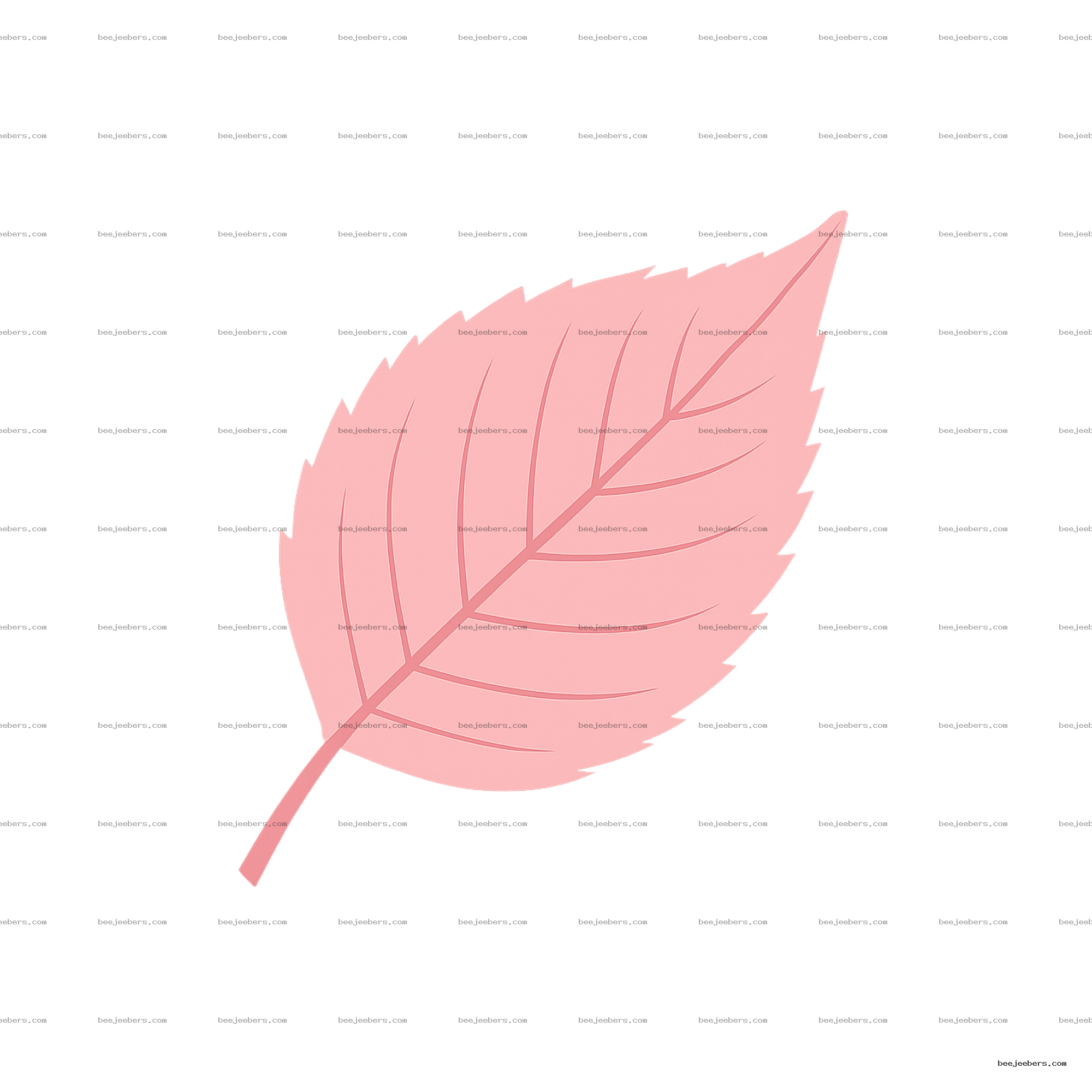 Pink cherry blossom leaf vector clipart with detailed veins on transparent background