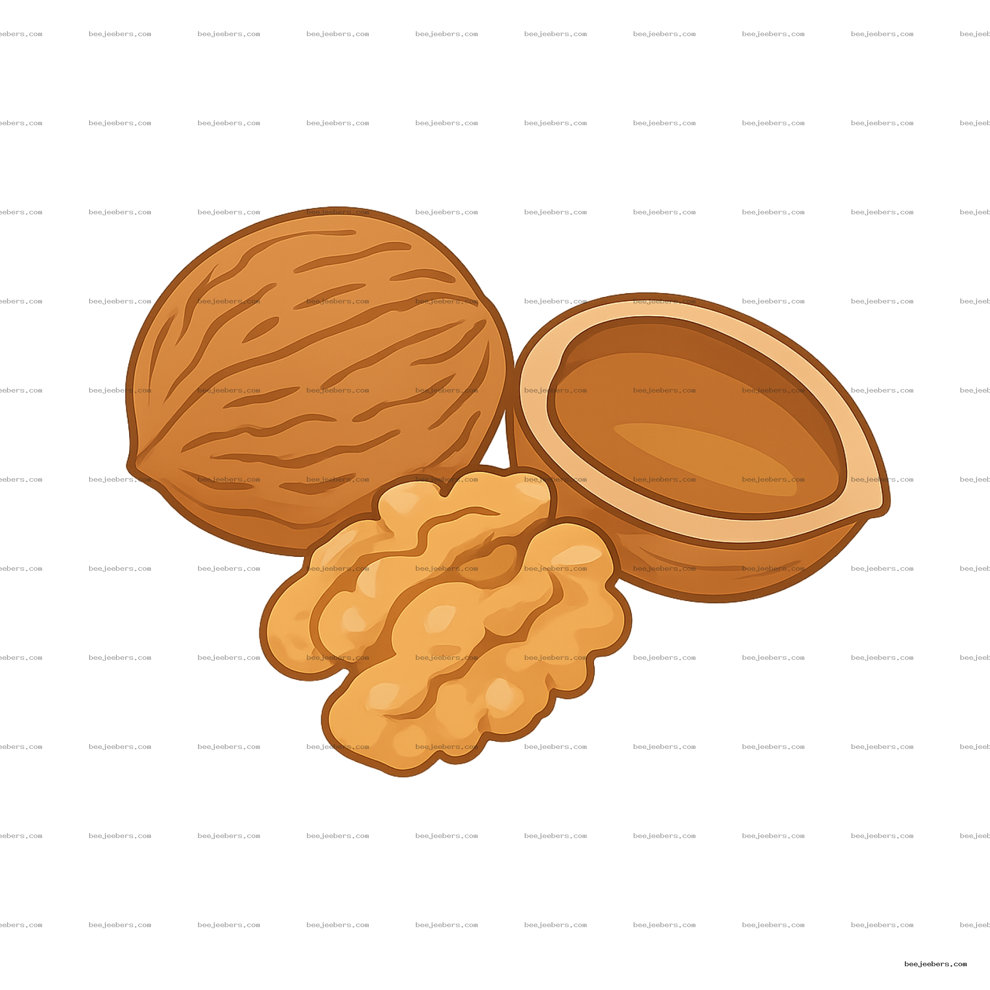 Vector illustration of a whole walnut, half walnut shell, and walnut meat in brown tones with transparent background