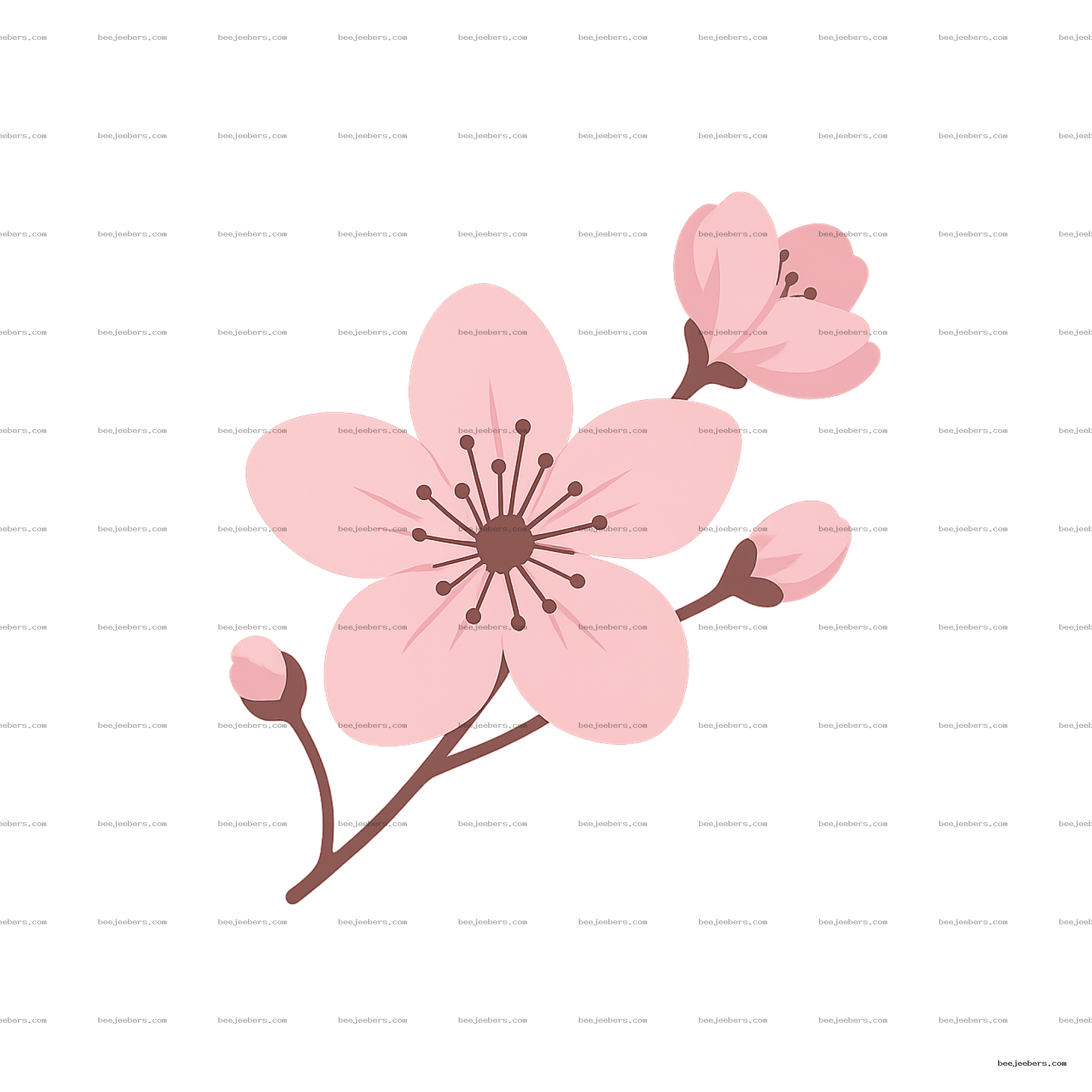 Clean vector sakura blossom branch with pink flowers and buds on transparent background