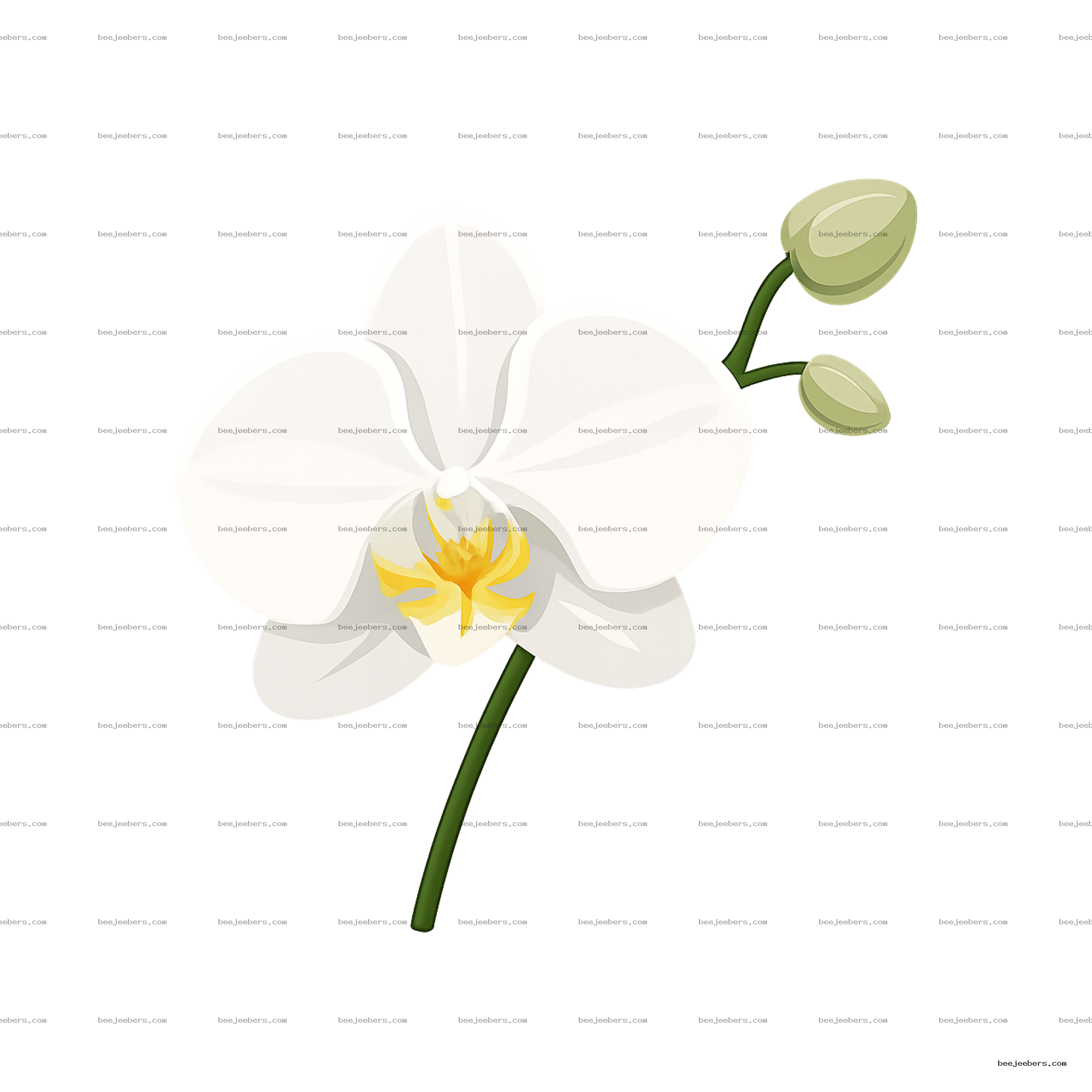 Clean vector white orchid flower with yellow center and green stem on transparent background