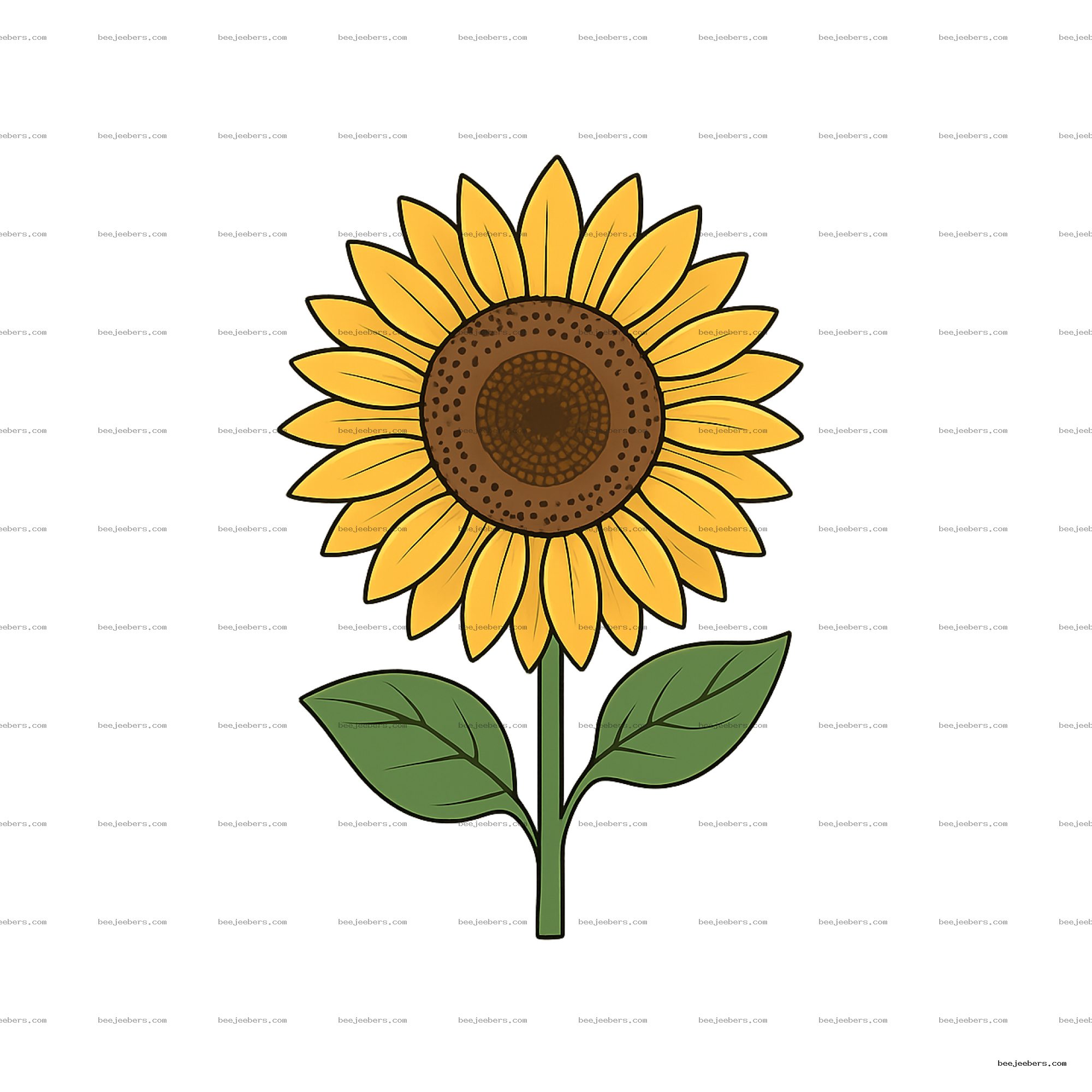 Clean vector sunflower illustration with yellow petals and green leaves on transparent background