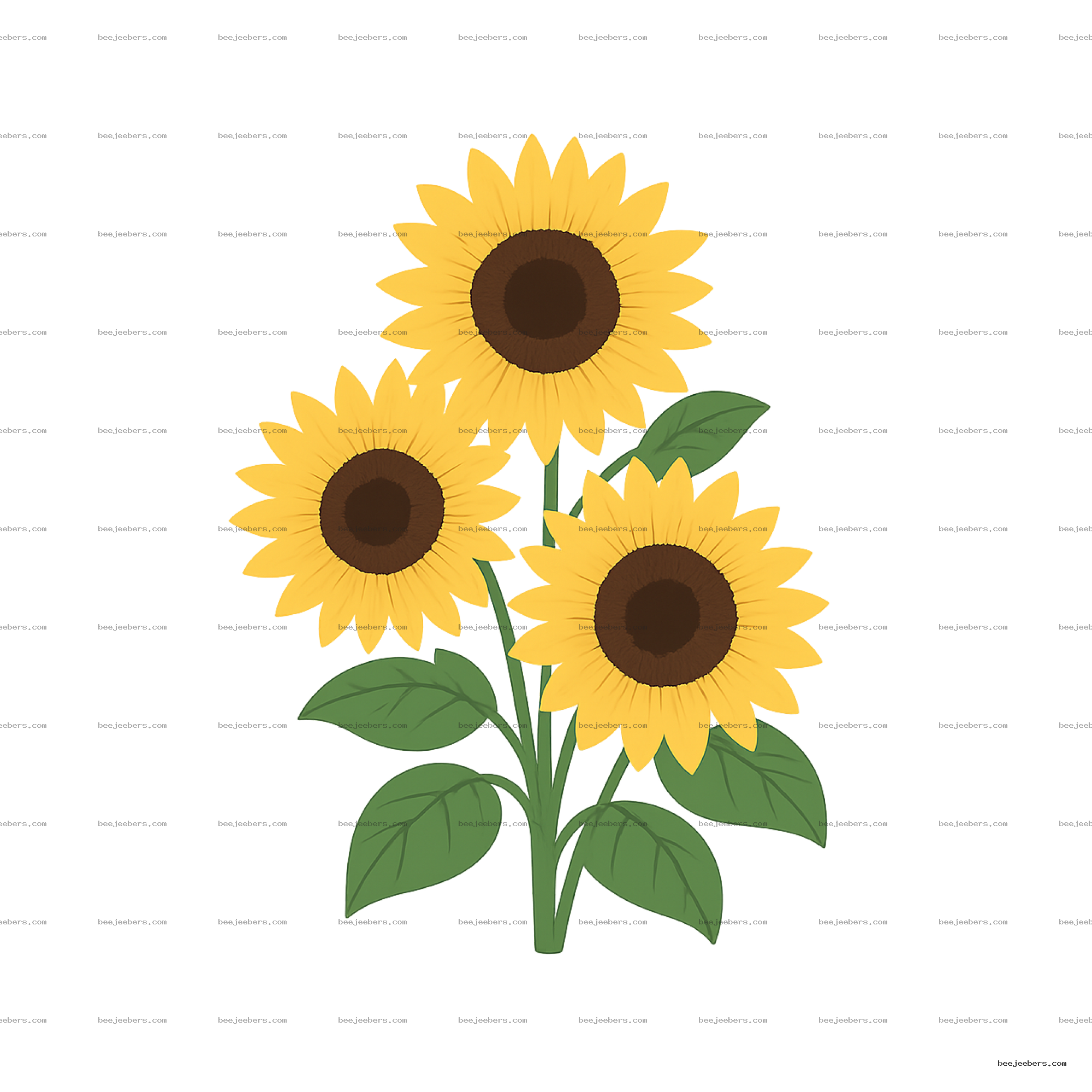 Vector illustration of bright yellow sunflowers with brown centers and green leaves on transparent background