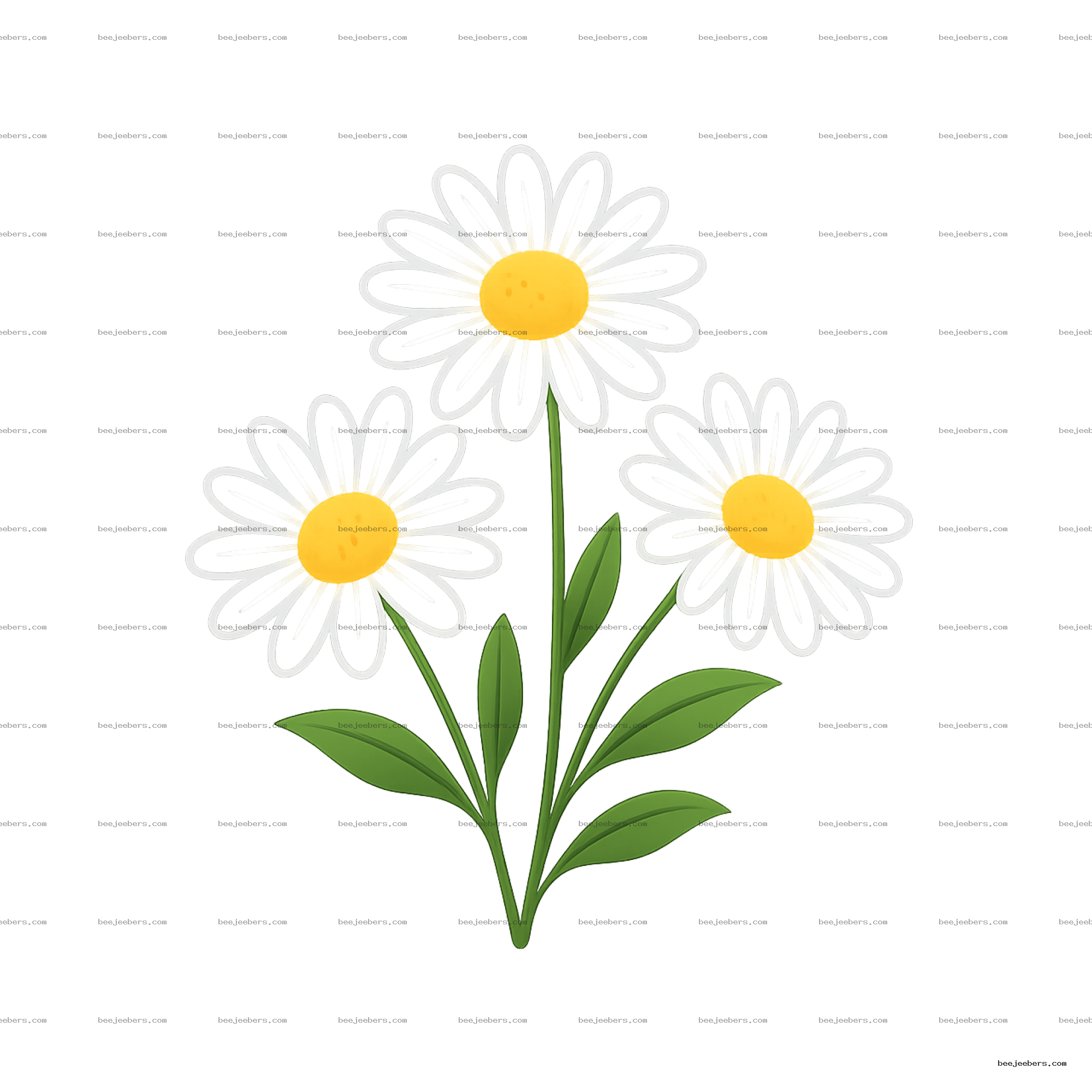 Clean vector illustration of three white daisies with yellow centers and green leaves on transparent background