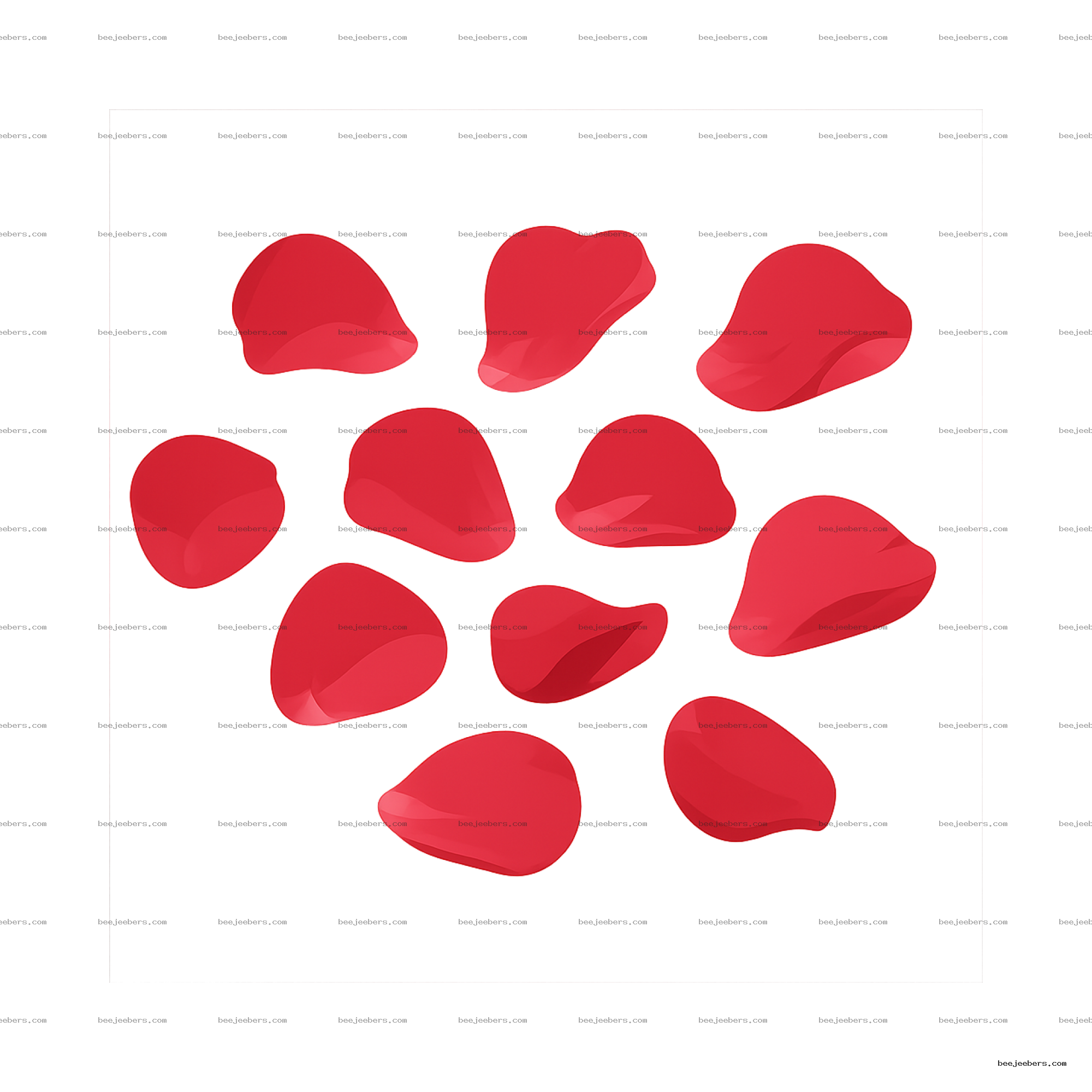 Red rose petals scattered with transparent background for digital design