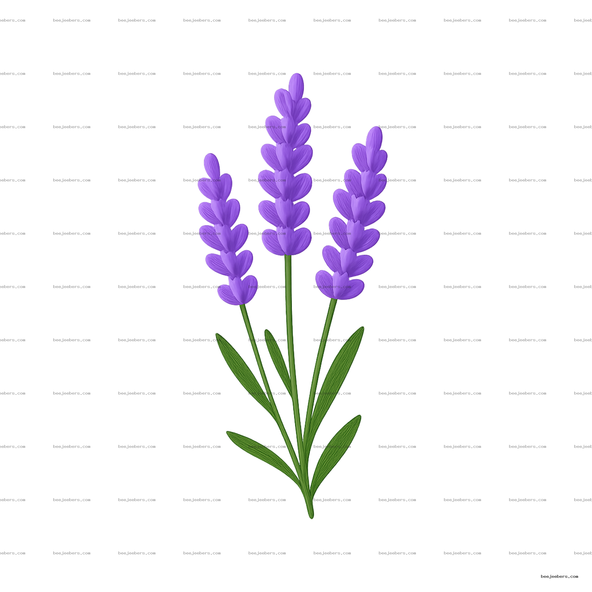 Clean vector illustration of three lavender flower sprigs with green leaves on transparent background