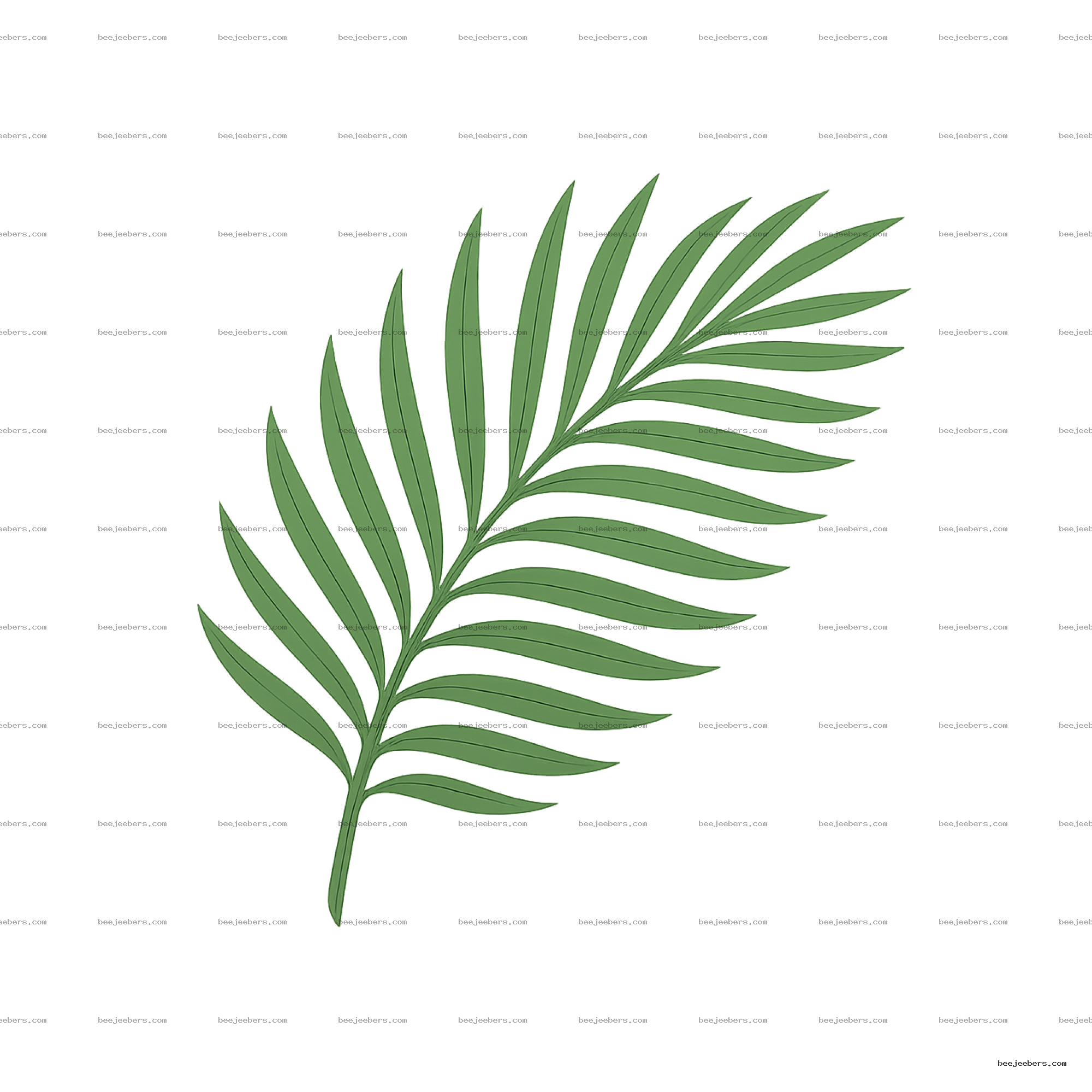 Clean vector illustration of a green coconut tree leaf with individual leaflets on transparent background