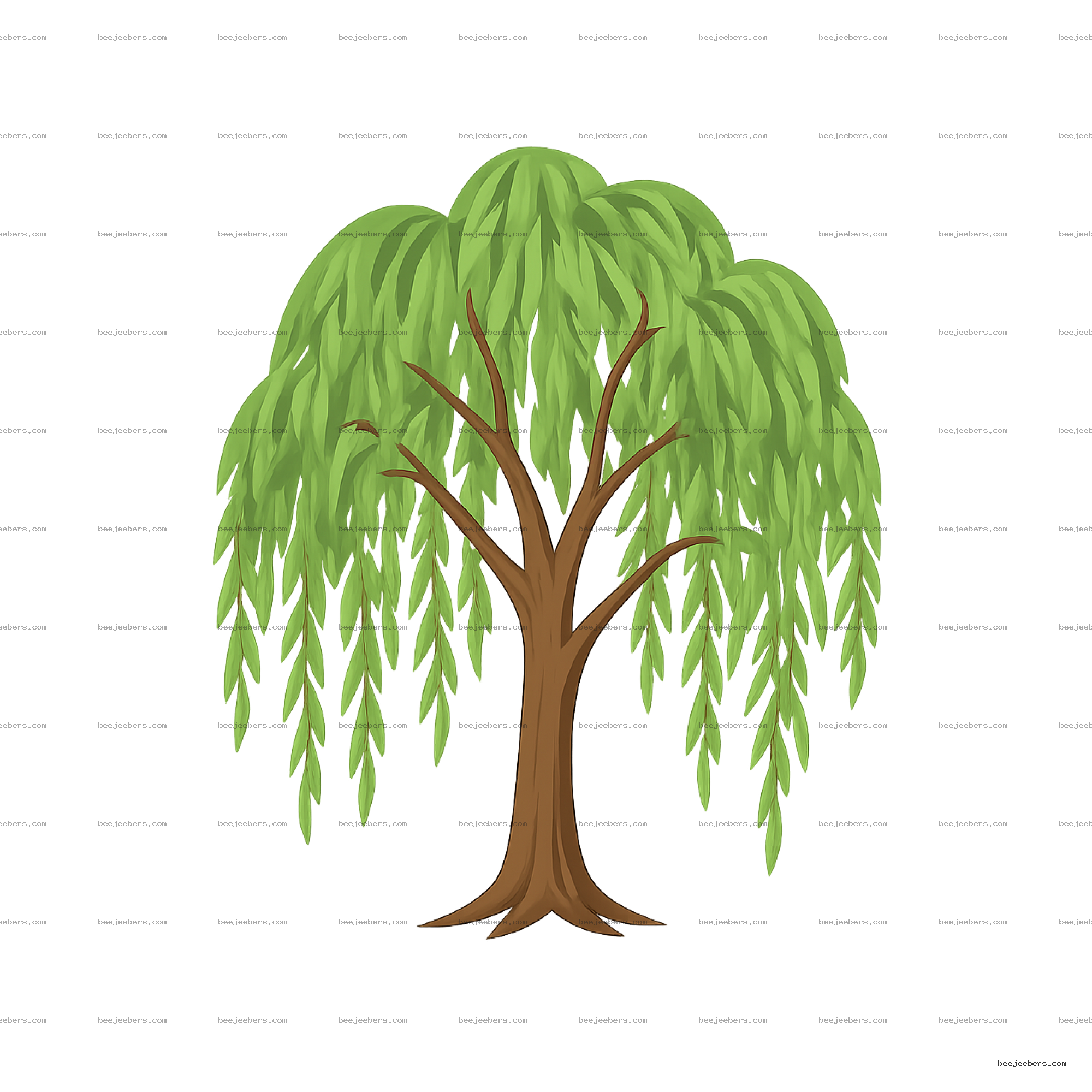 Vector illustration of a willow tree with drooping green leaves and brown trunk on transparent background